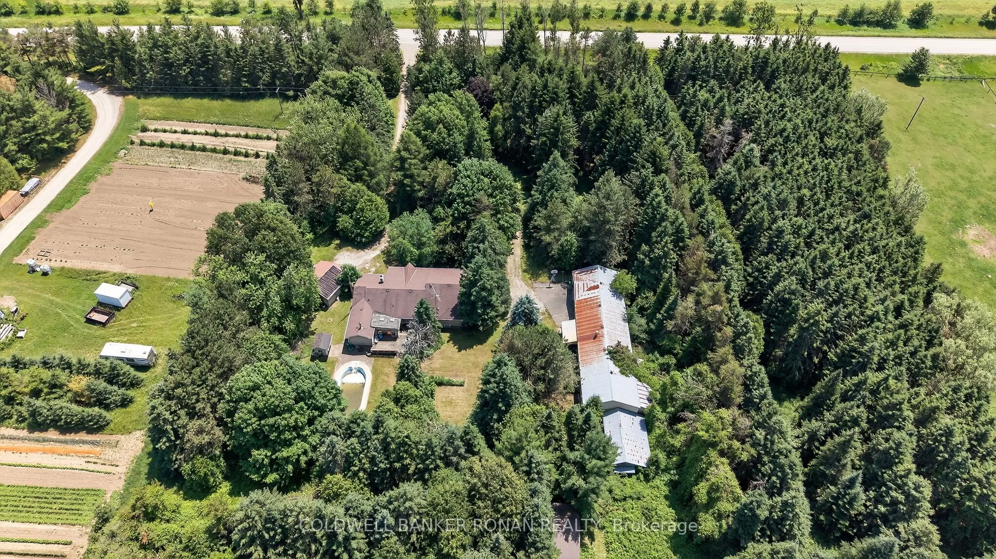 388055 Mono Center Road