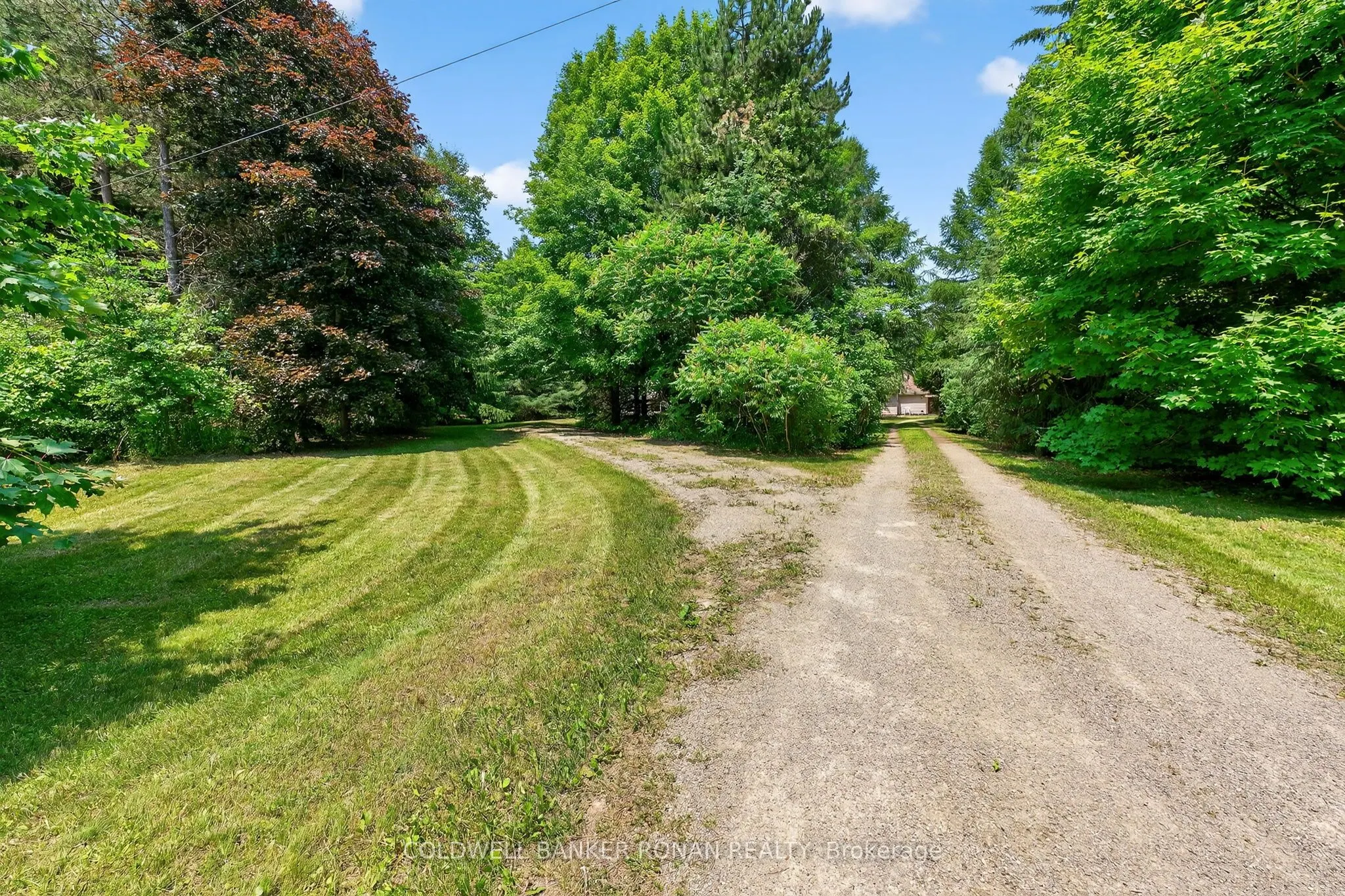 388055 Mono Center Road