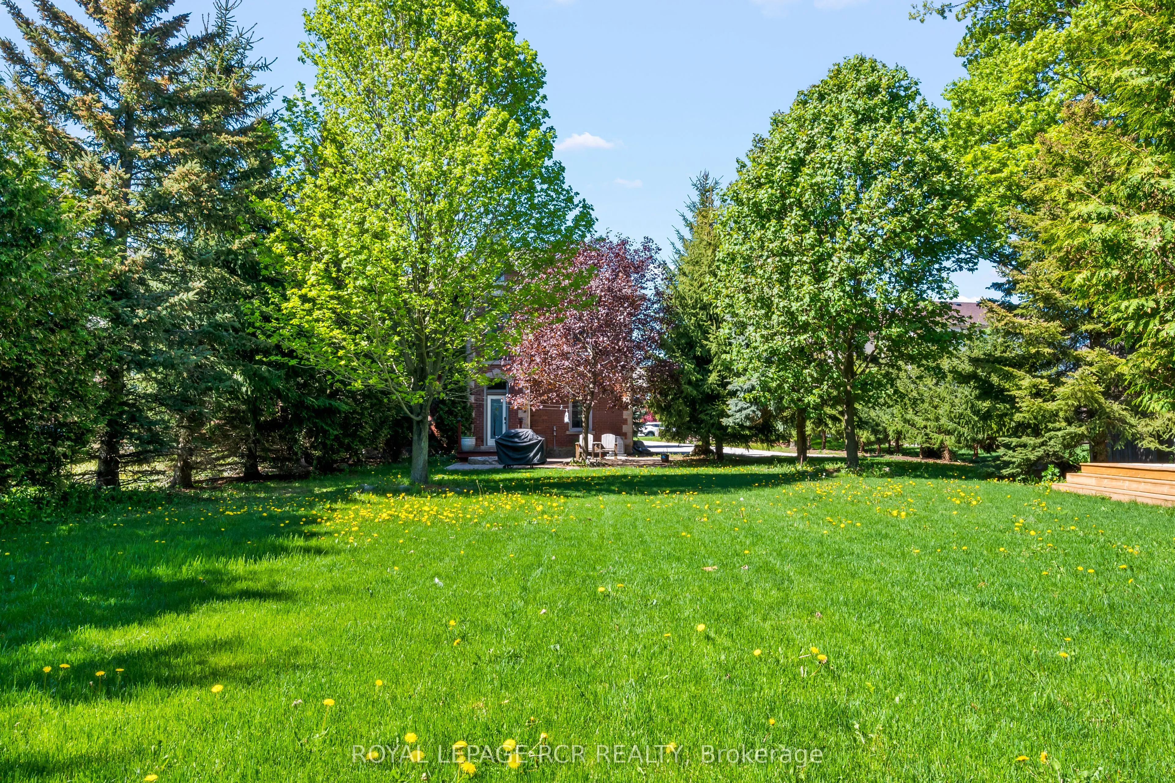 91 French Drive