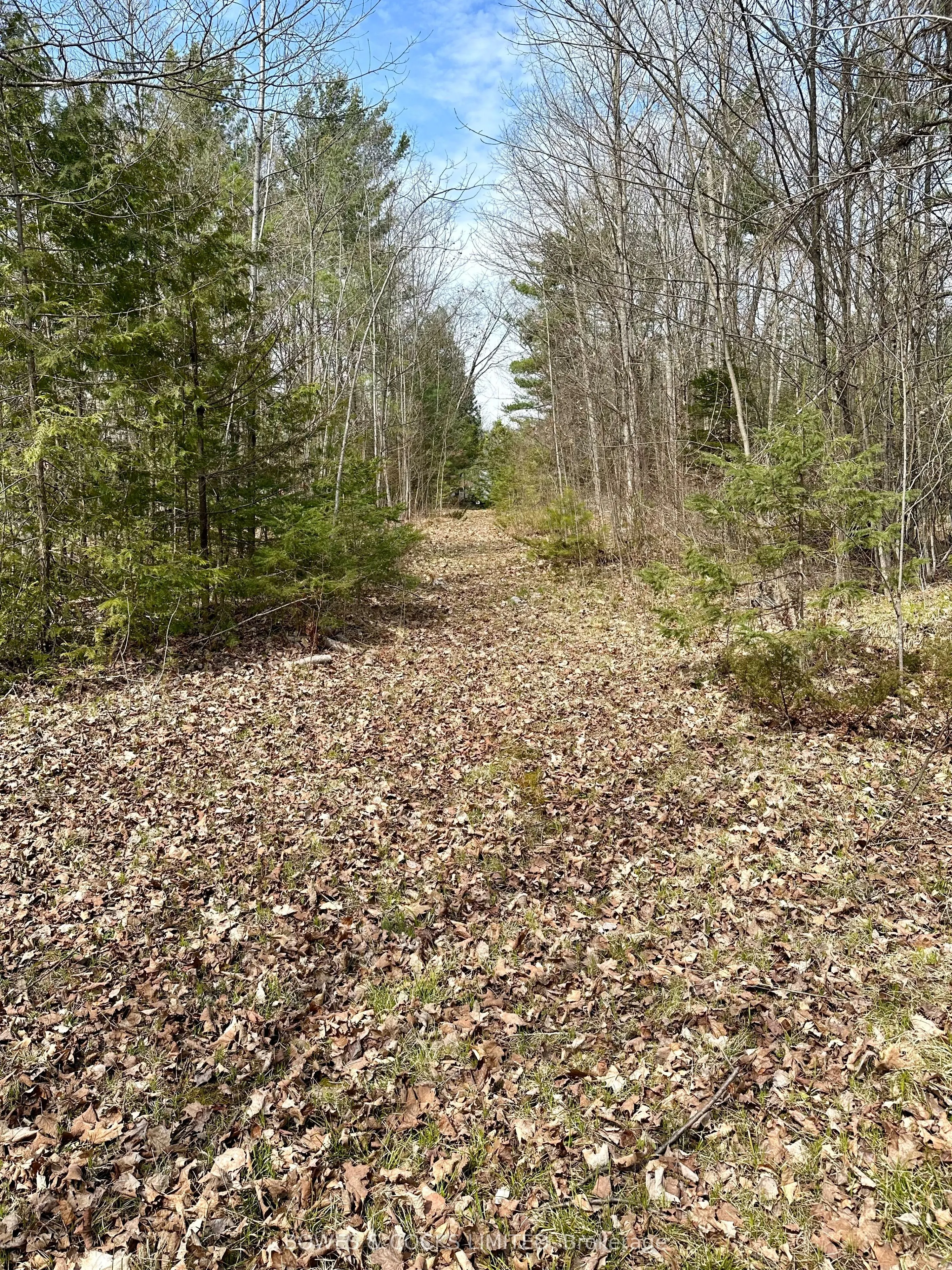 2981 County Road 44