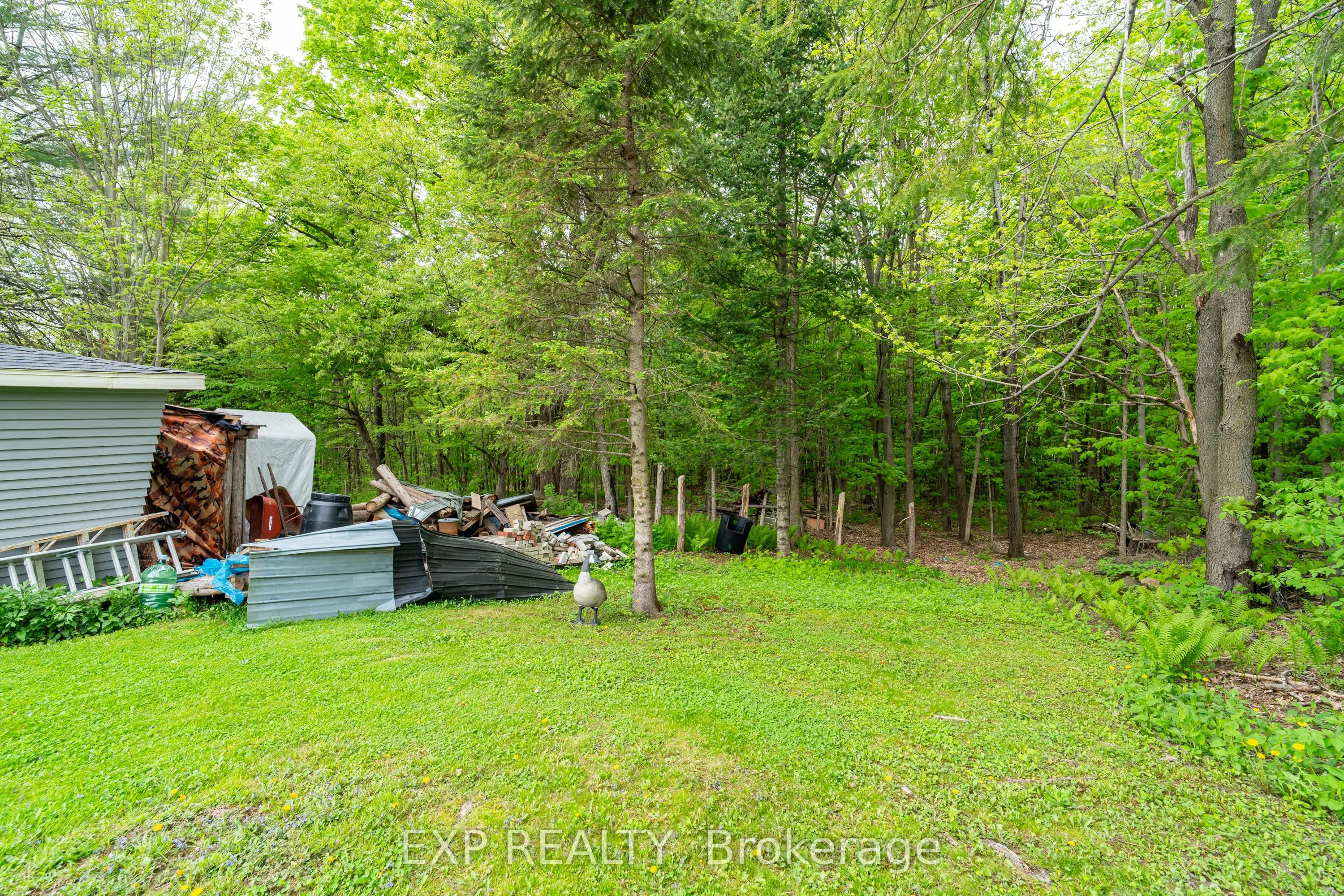 751 Pattee Road