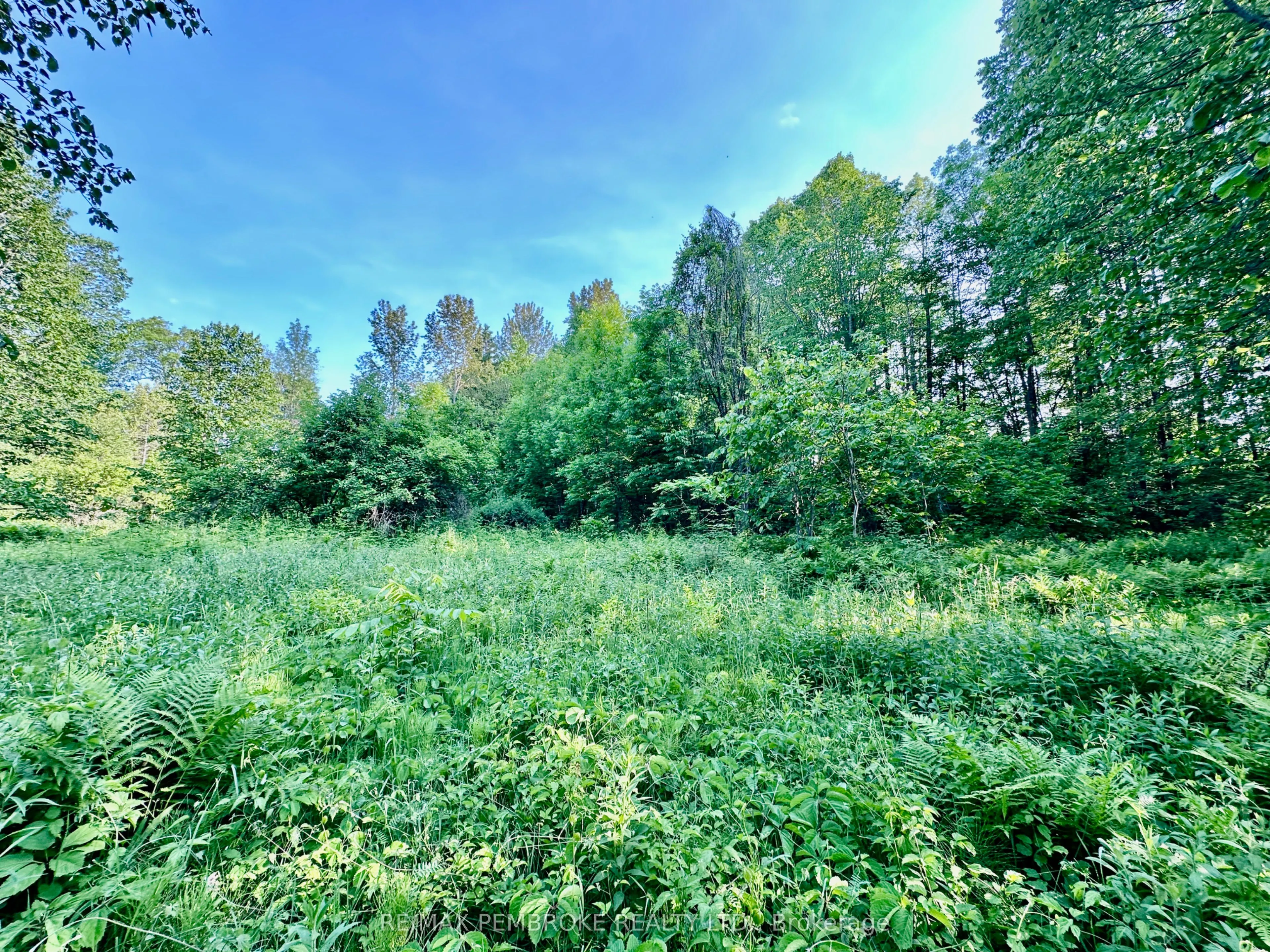 148 Forest Lea Road