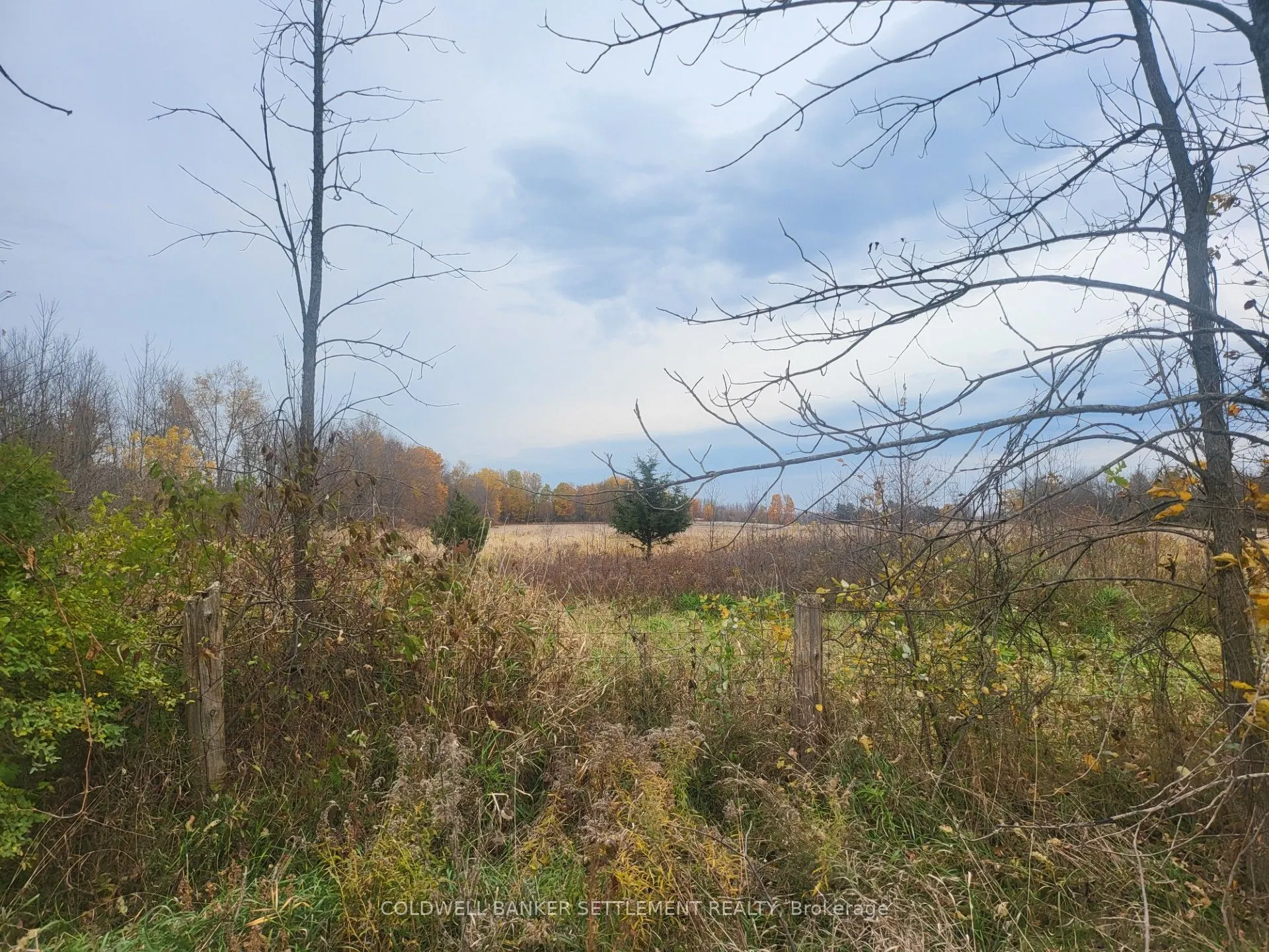 Lot 3 BUSH Road