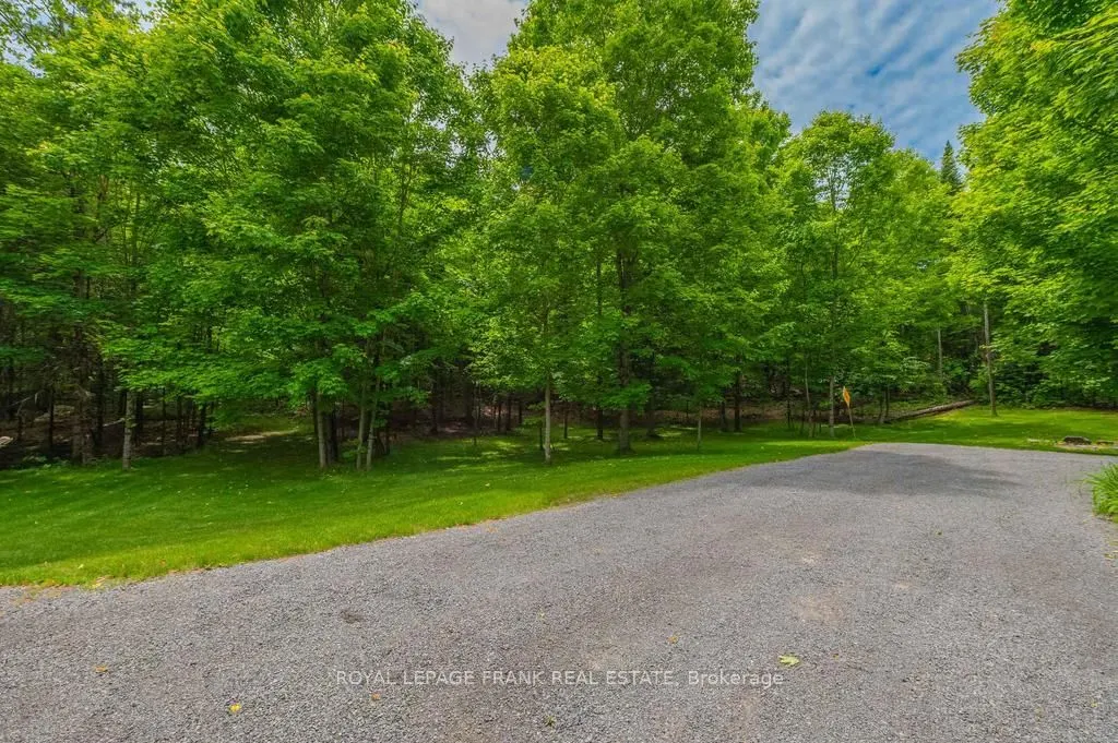 3585 County Road 620