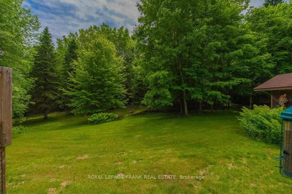 3585 County Road 620