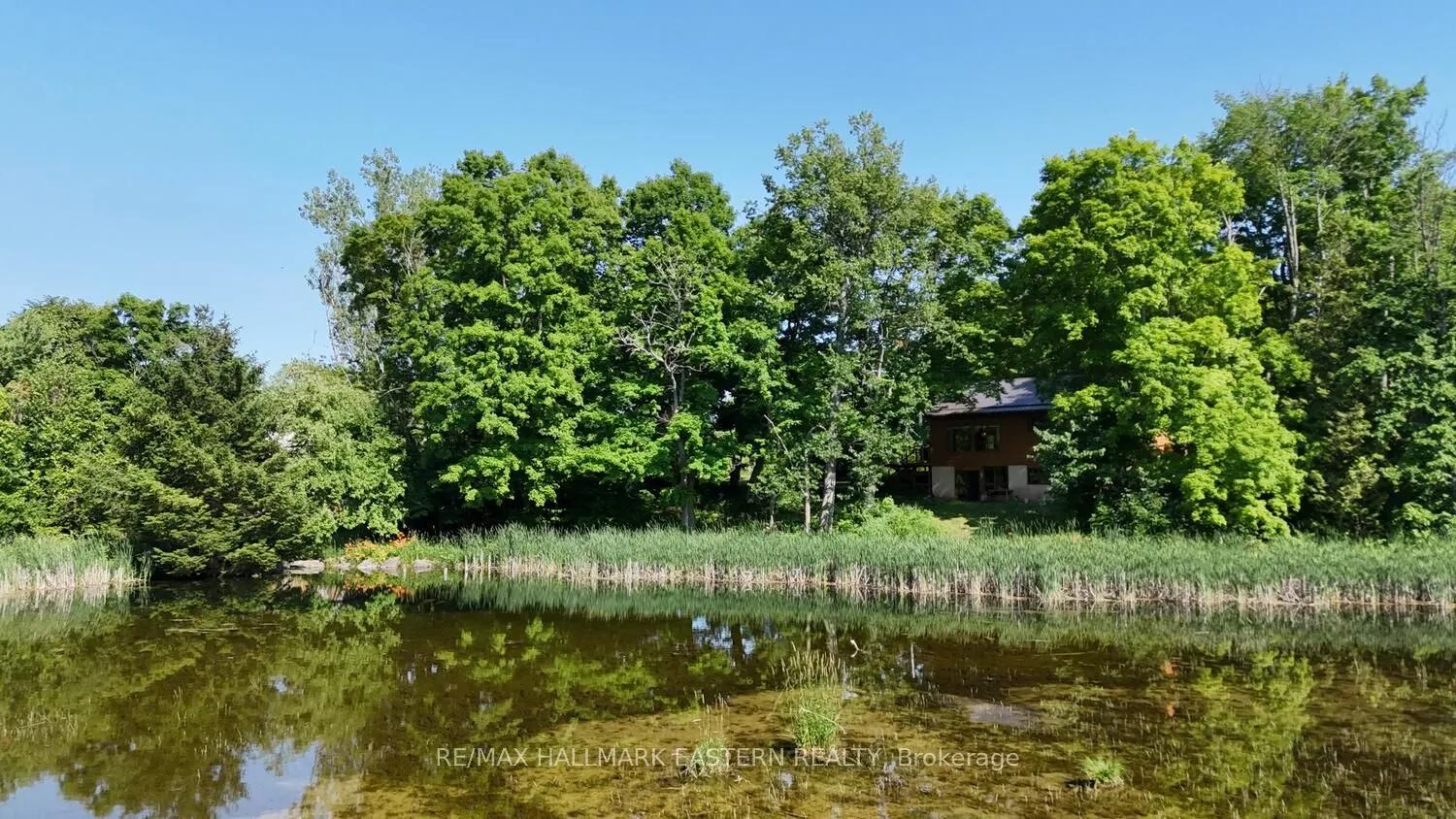240 Cole Road