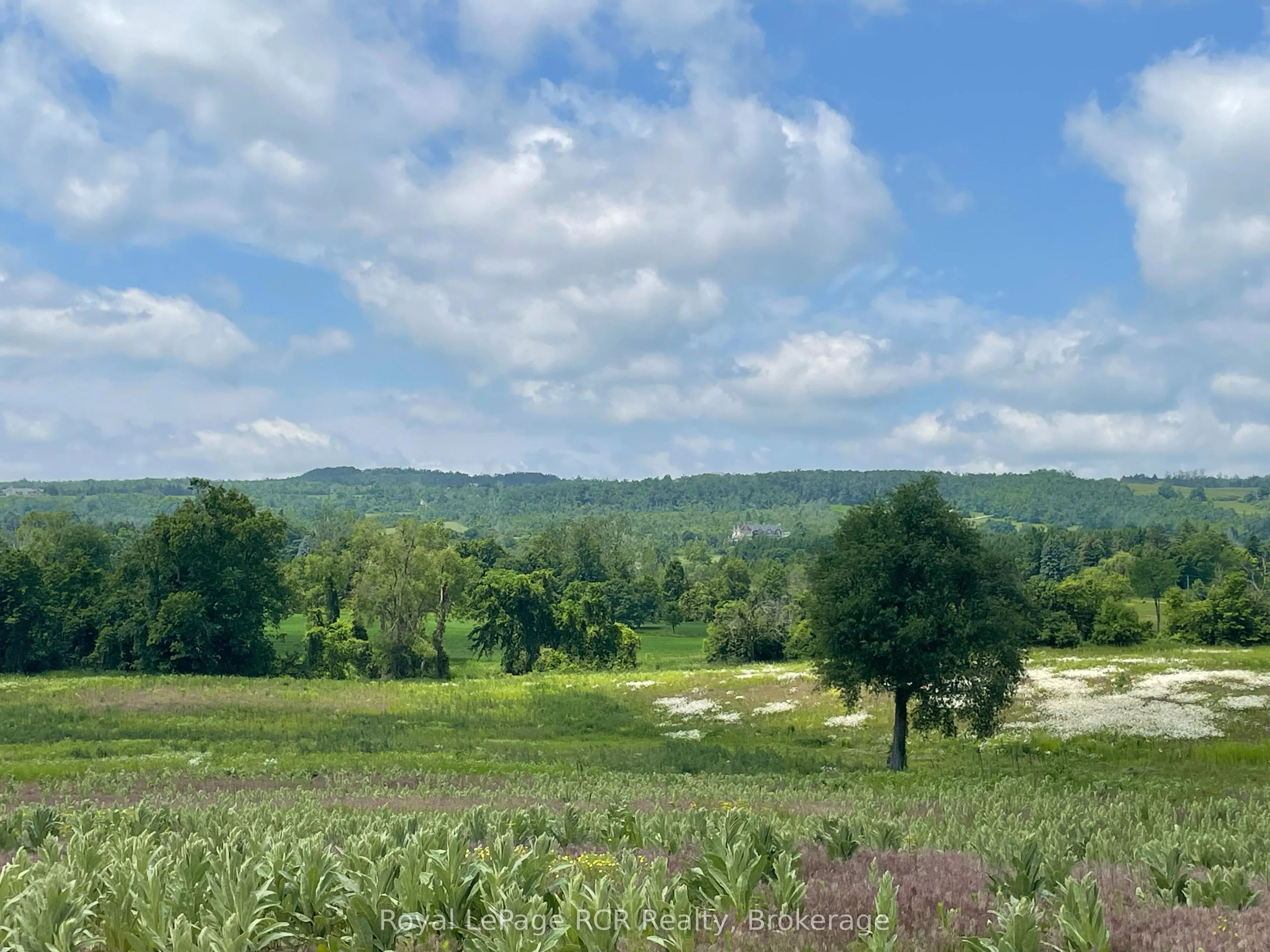 828254 Mulmur Nottawasaga Townline