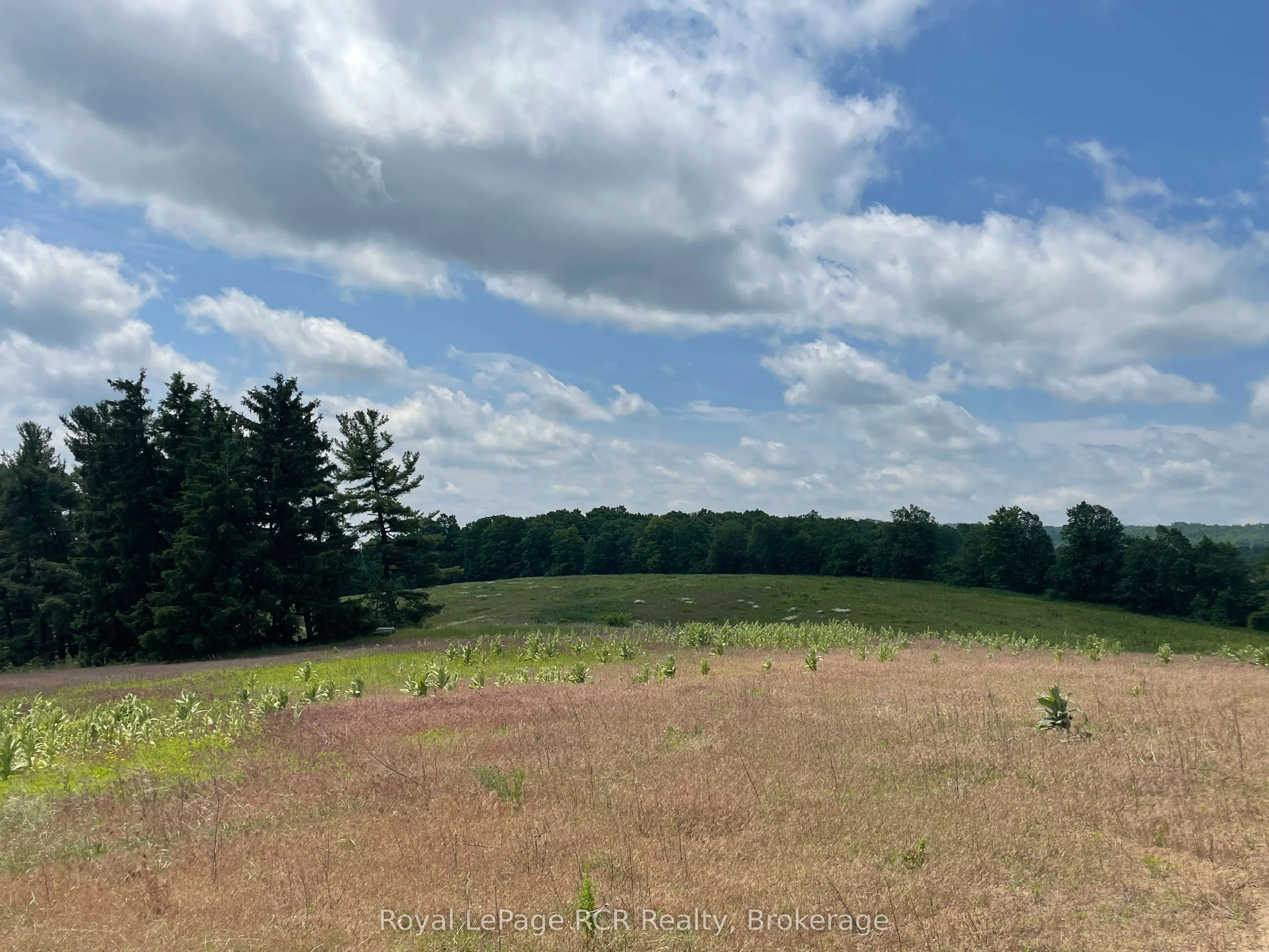 828254 Mulmur Nottawasaga Townline