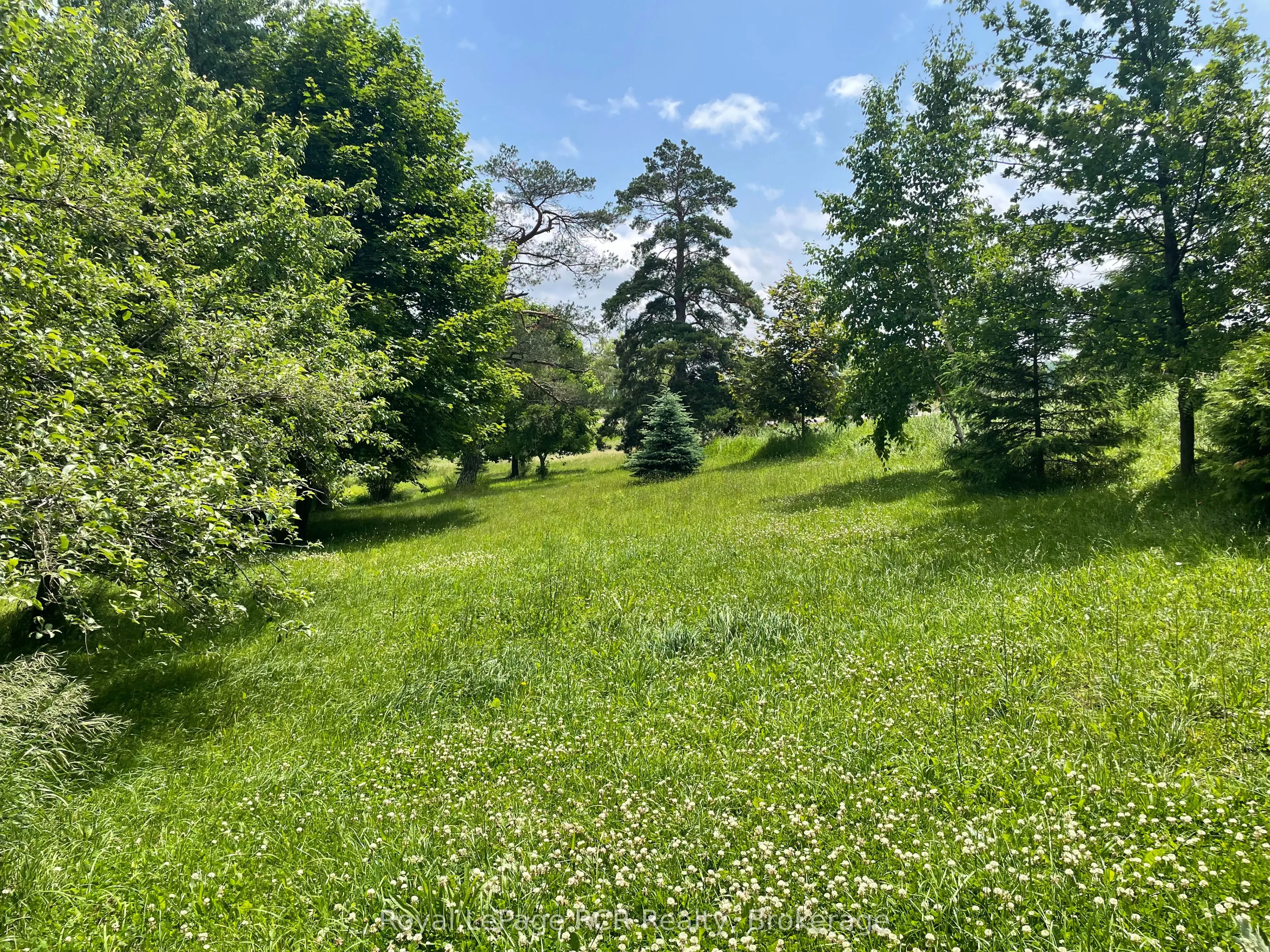 828254 Mulmur Nottawasaga Townline
