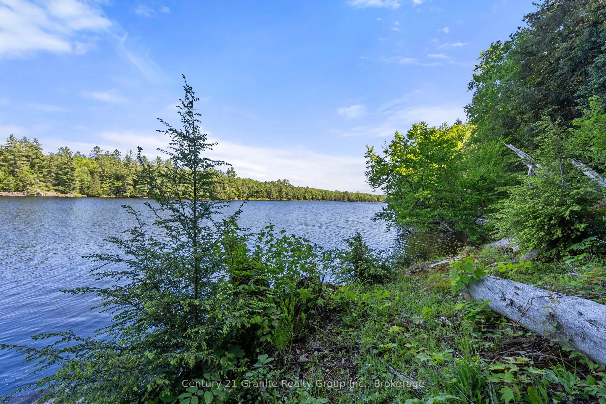 1577 RUGGED Lane