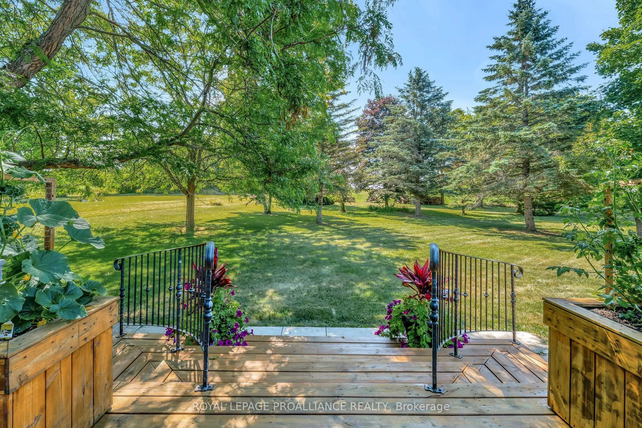 338 County Road 28