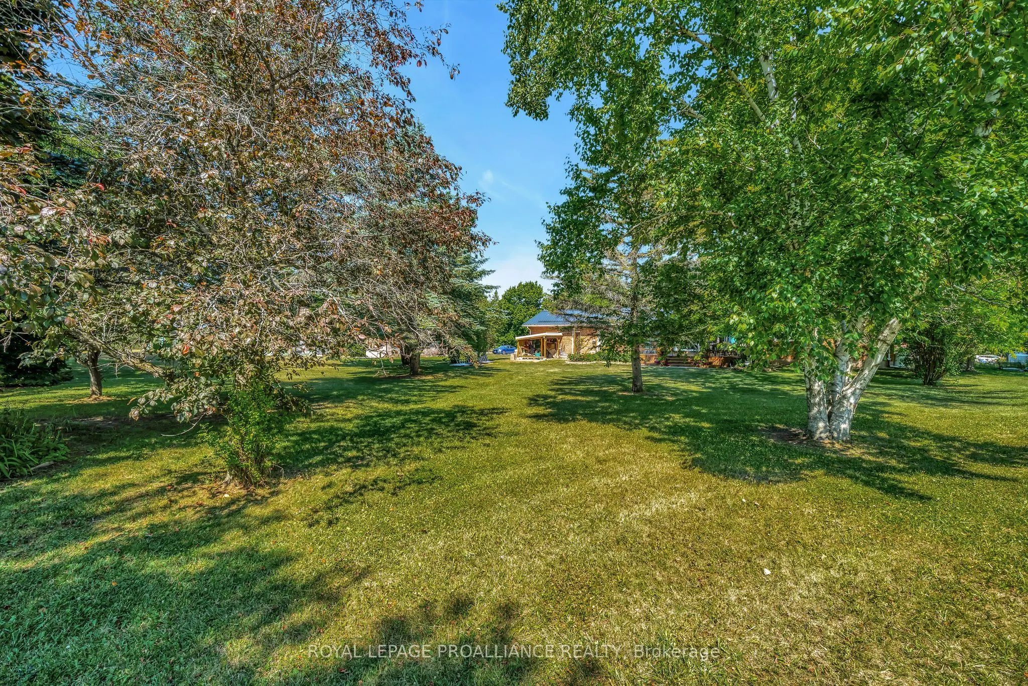 338 County Road 28
