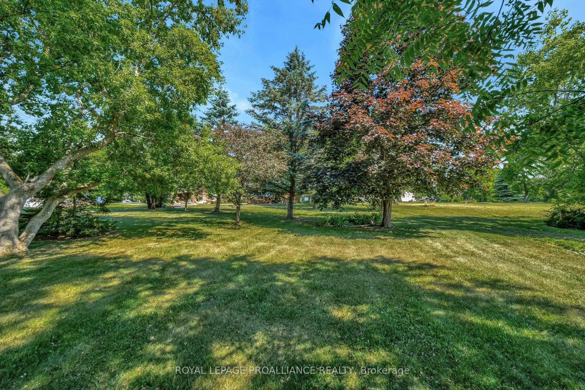 338 County Road 28