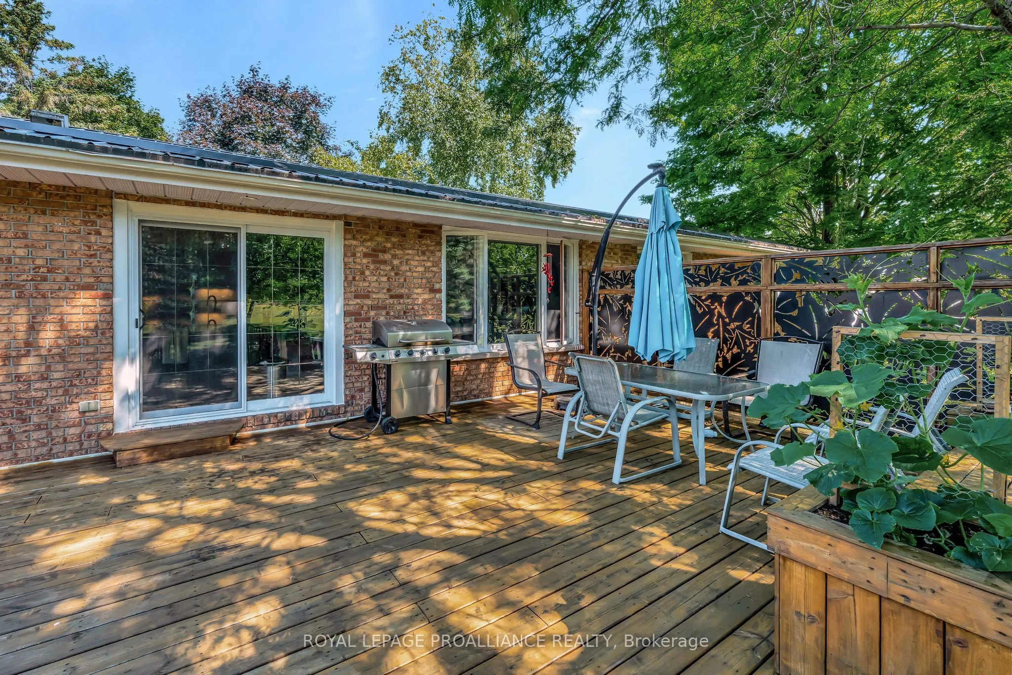 338 County Road 28
