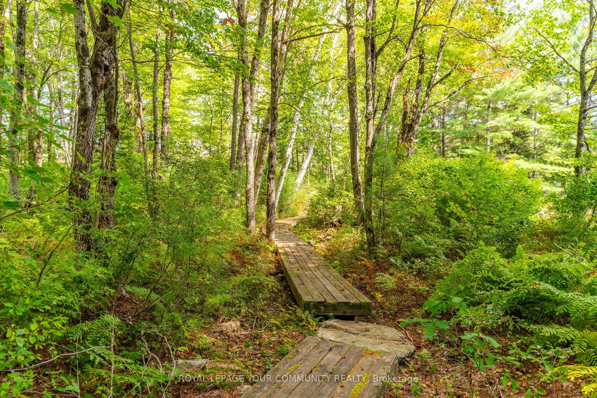 1031 Obelisk Trail