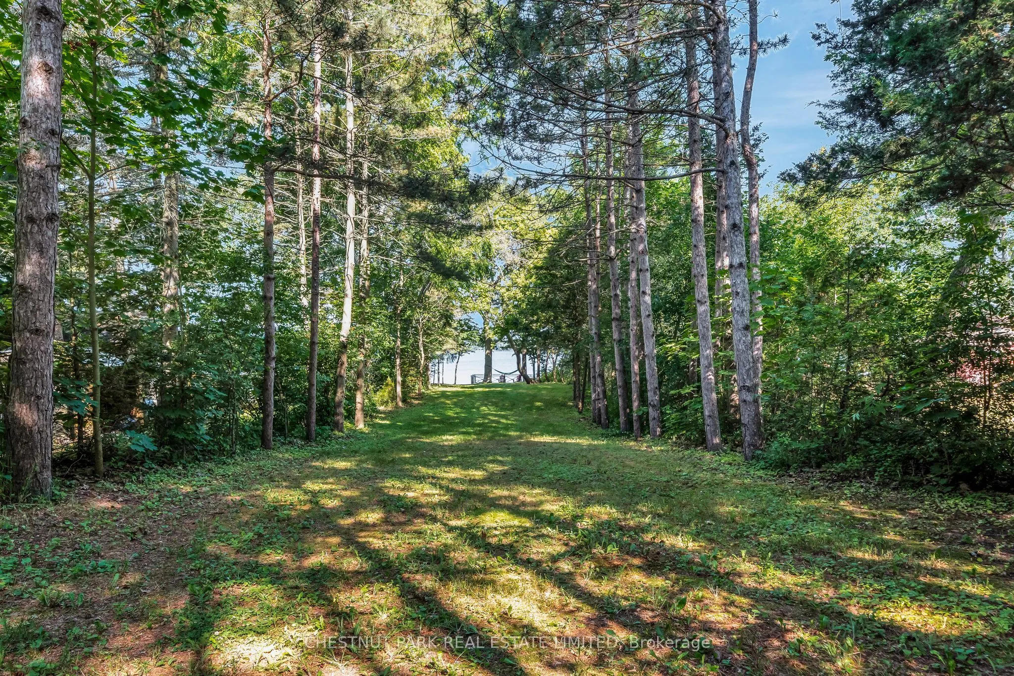 1716 County Rd 12