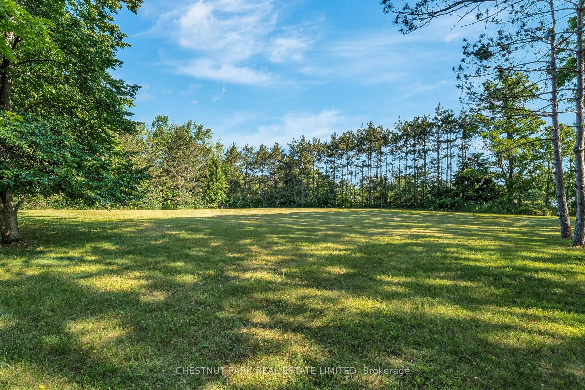 1716 County Rd 12