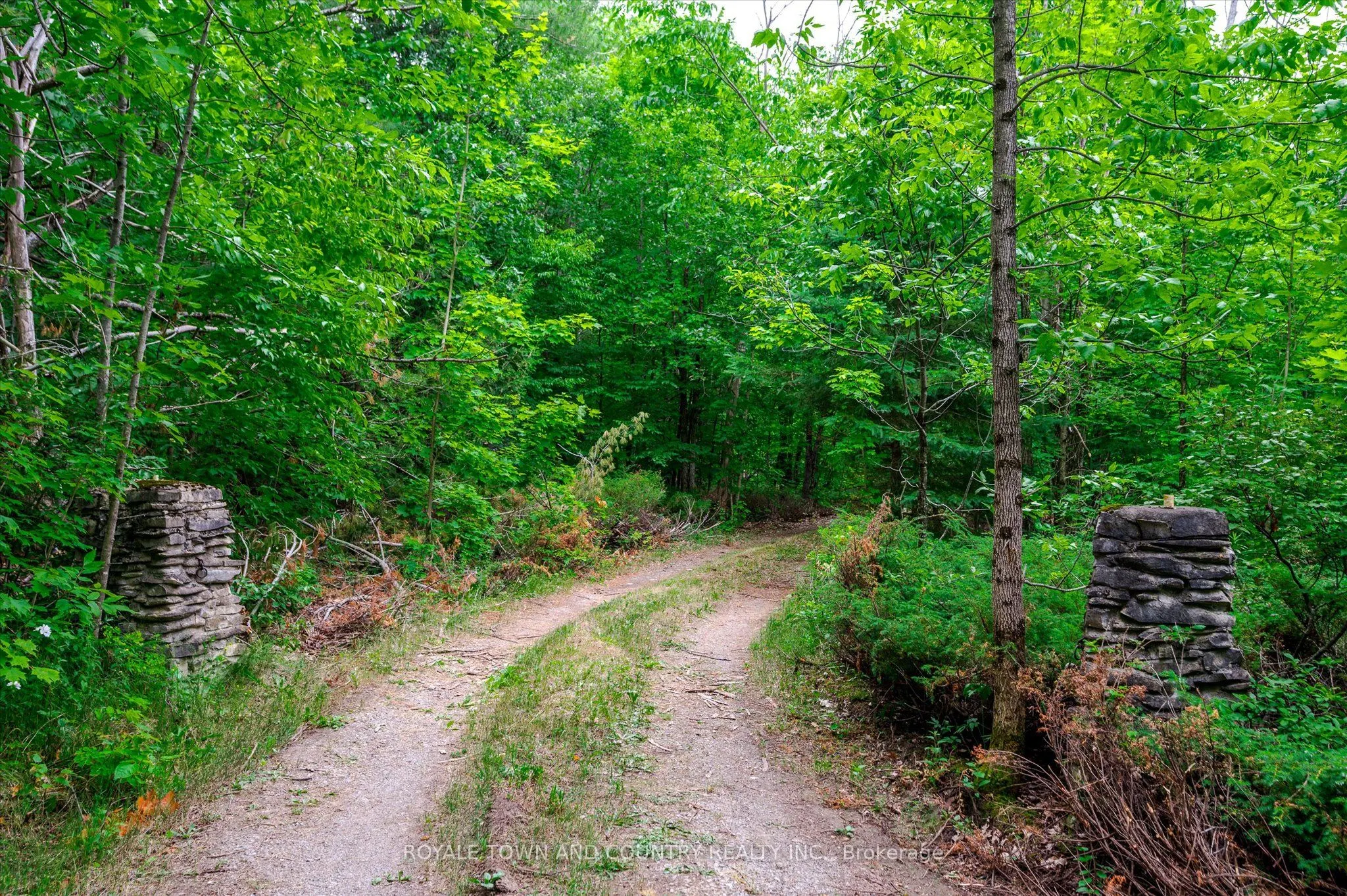 154 FOREST LANE Road