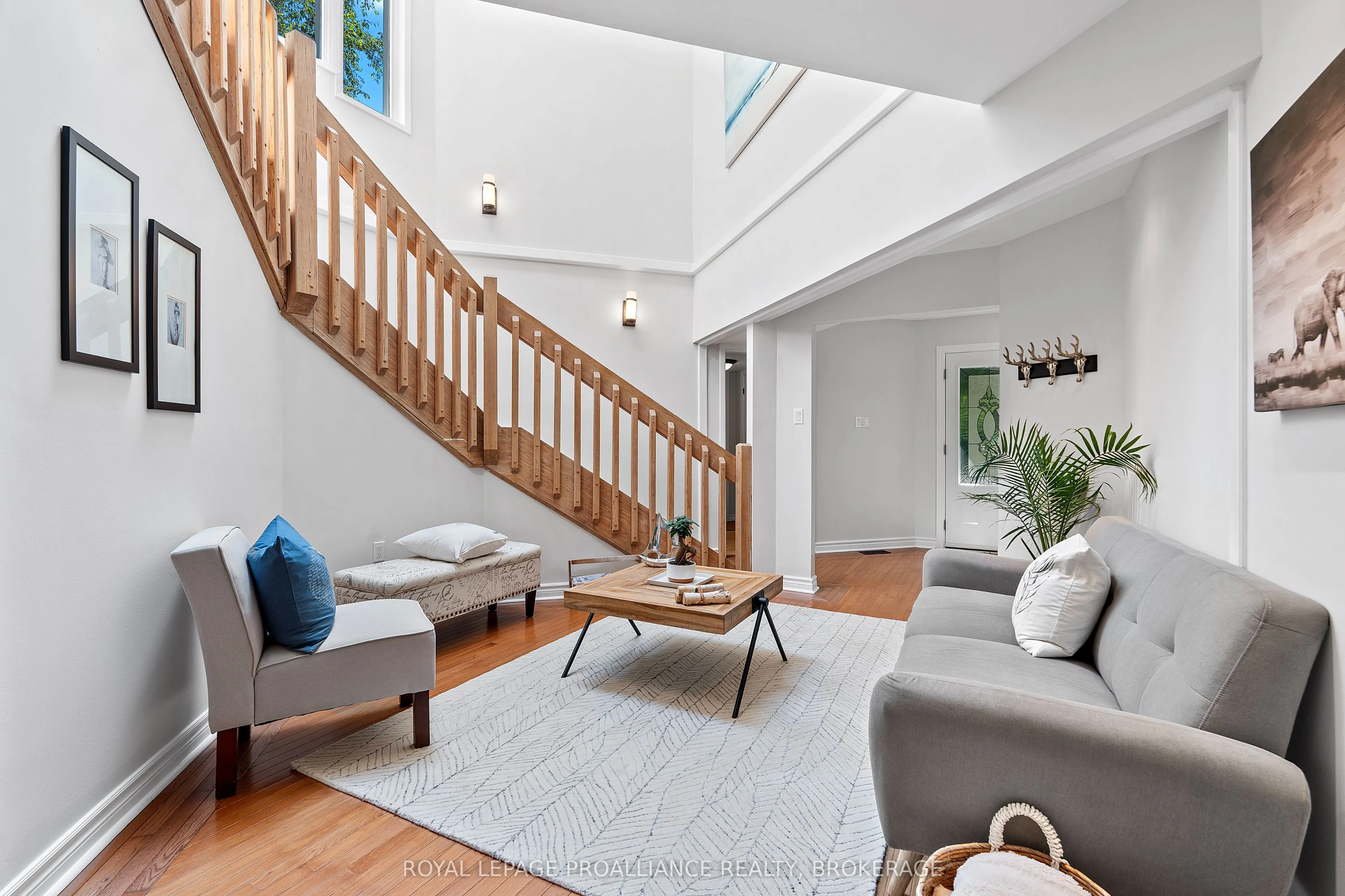 5 Wilmot Street