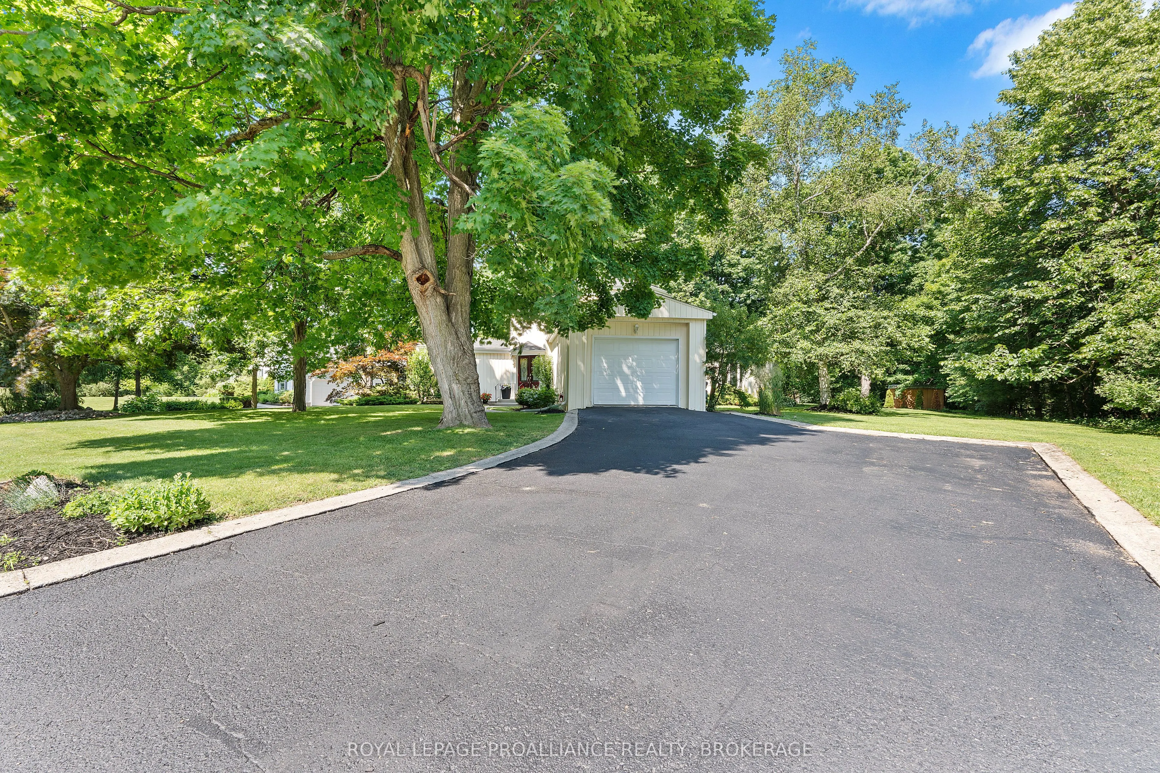 5 Wilmot Street