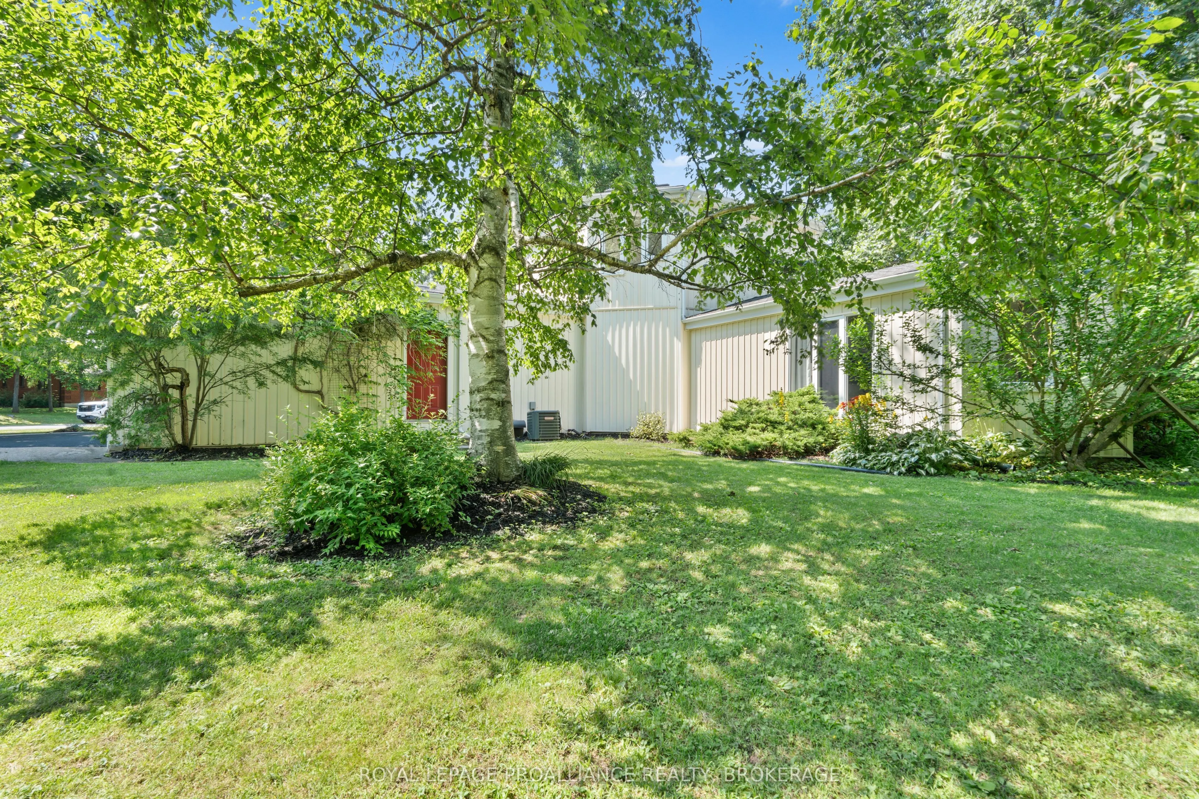 5 Wilmot Street
