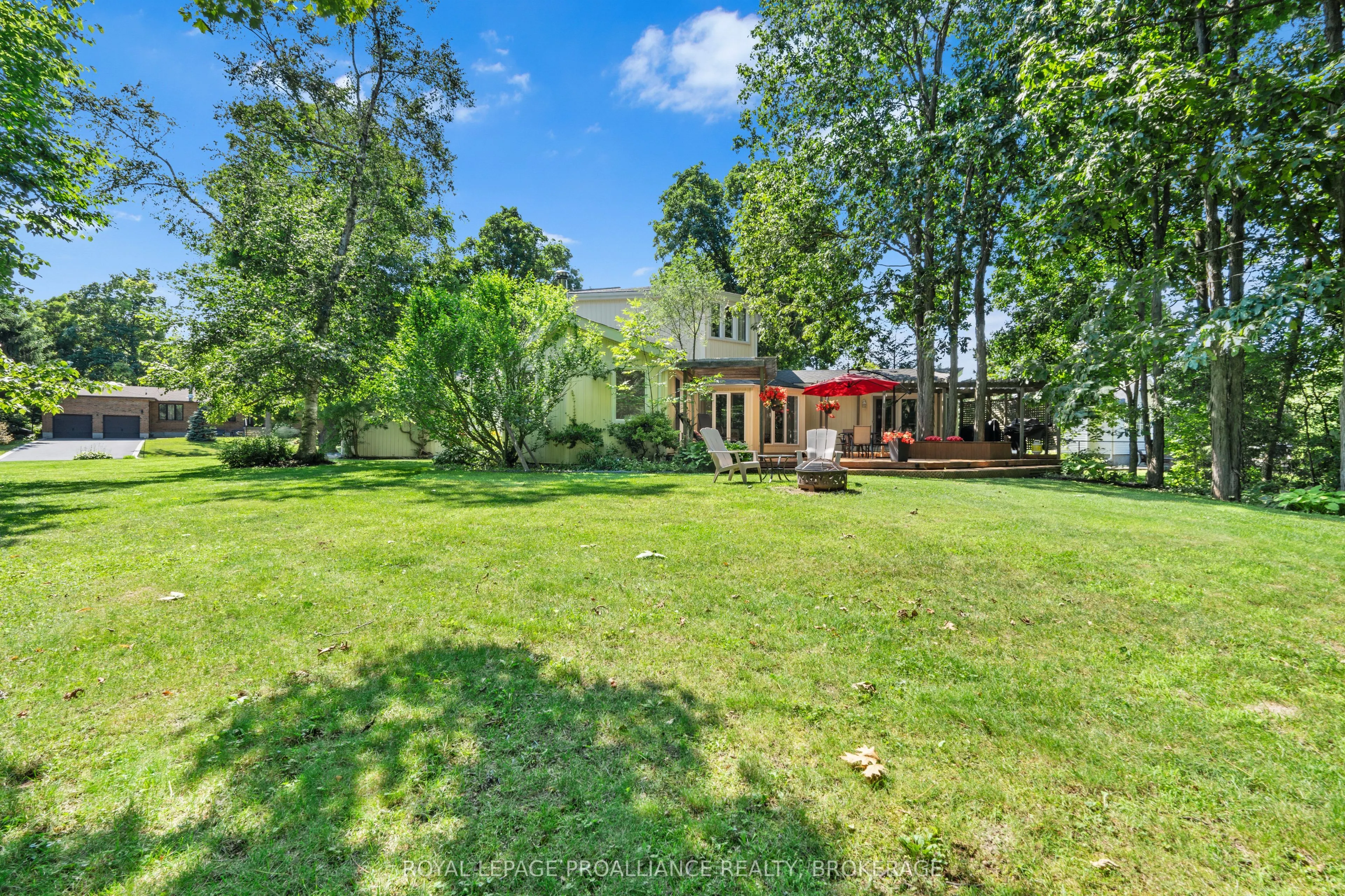 5 Wilmot Street