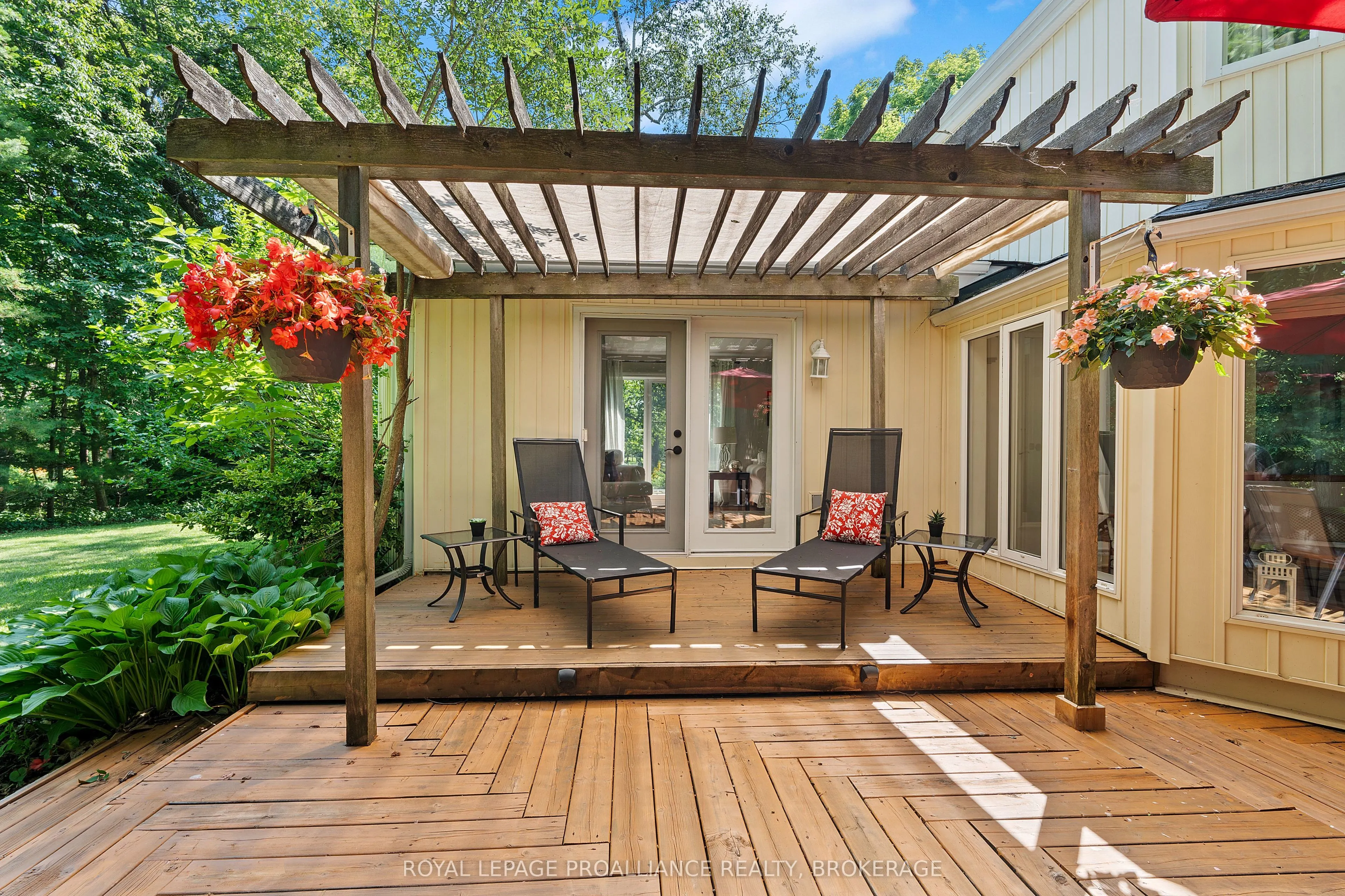 5 Wilmot Street