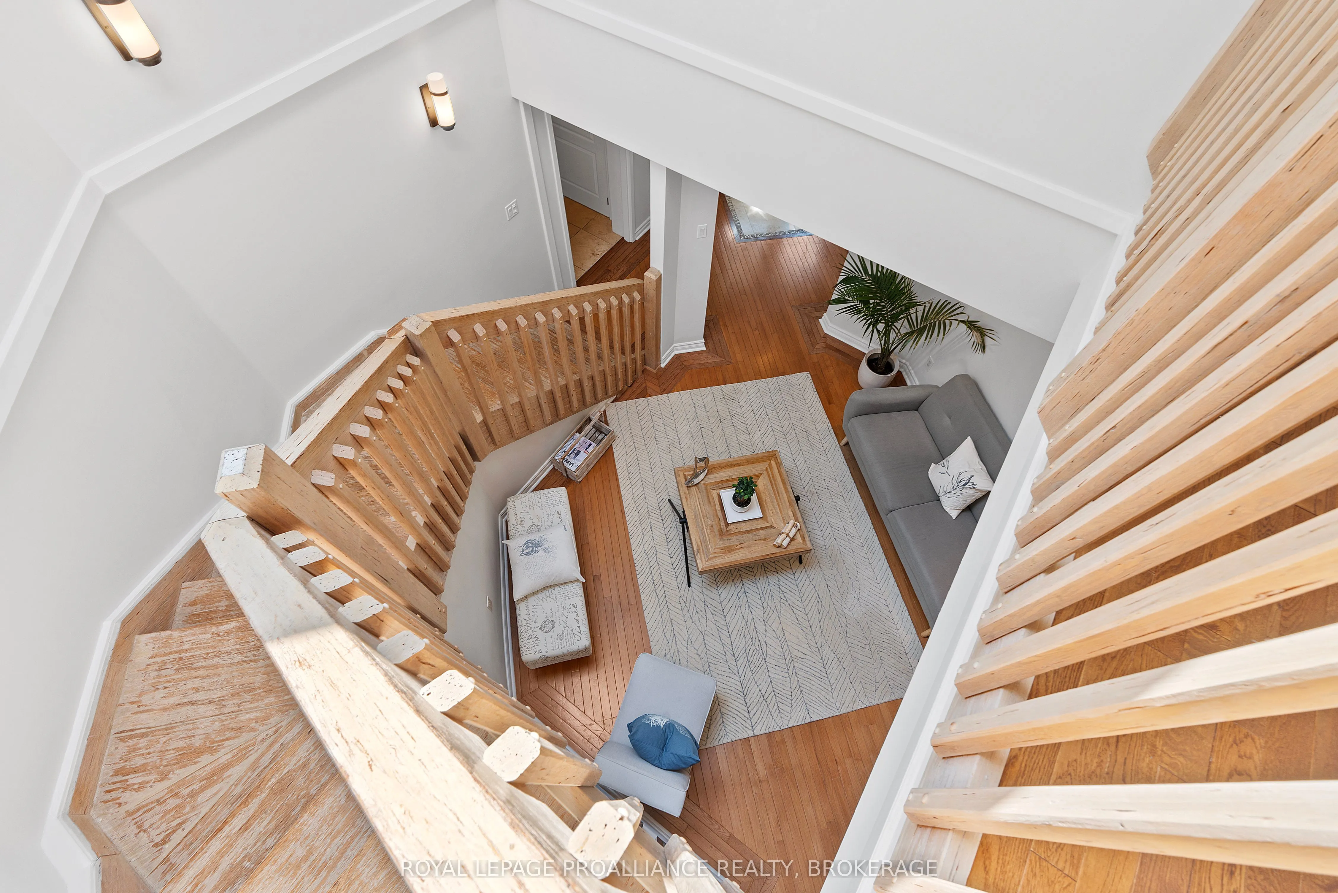 5 Wilmot Street