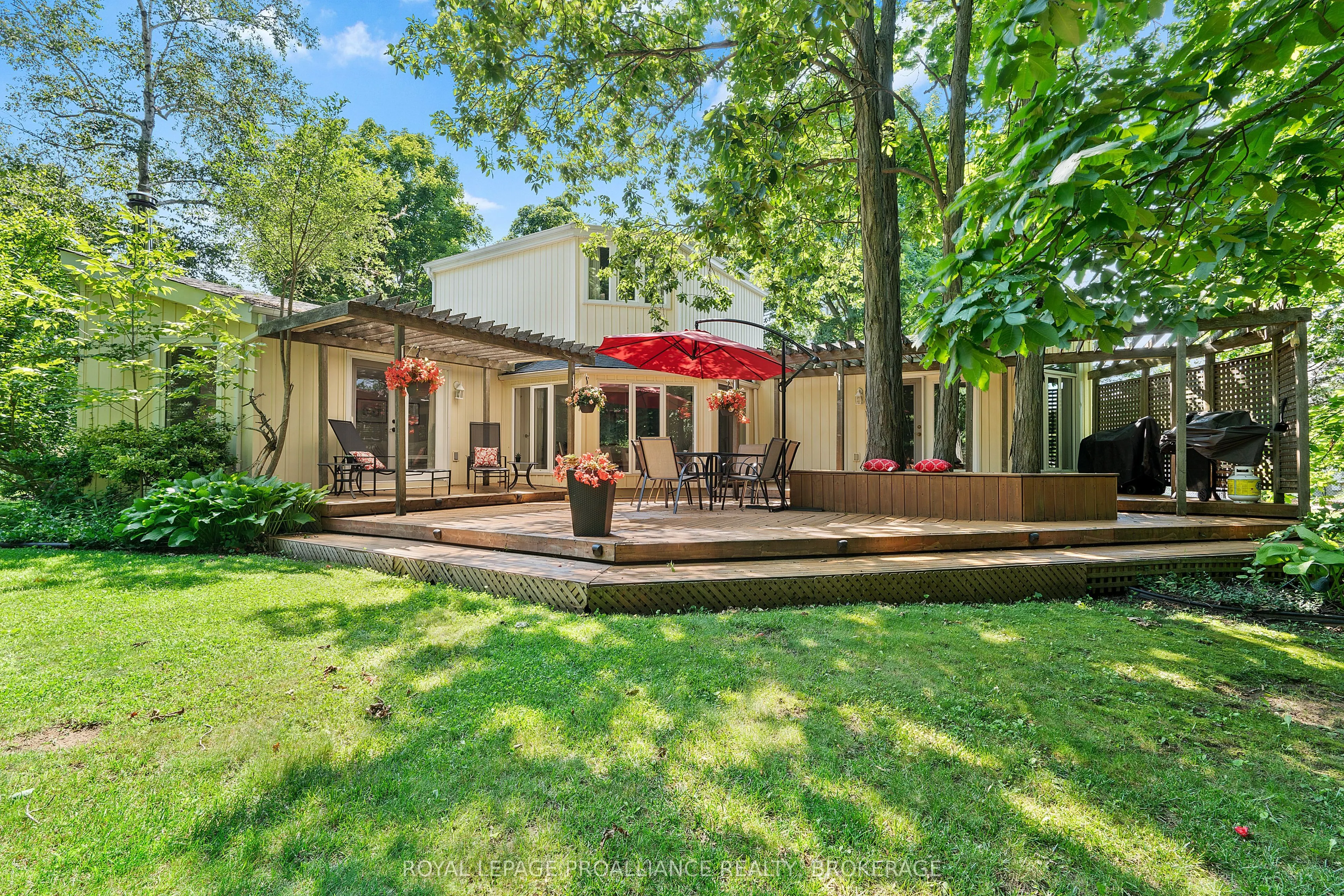 5 Wilmot Street