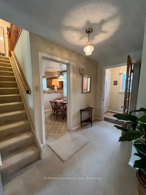 3 Gliddon Avenue