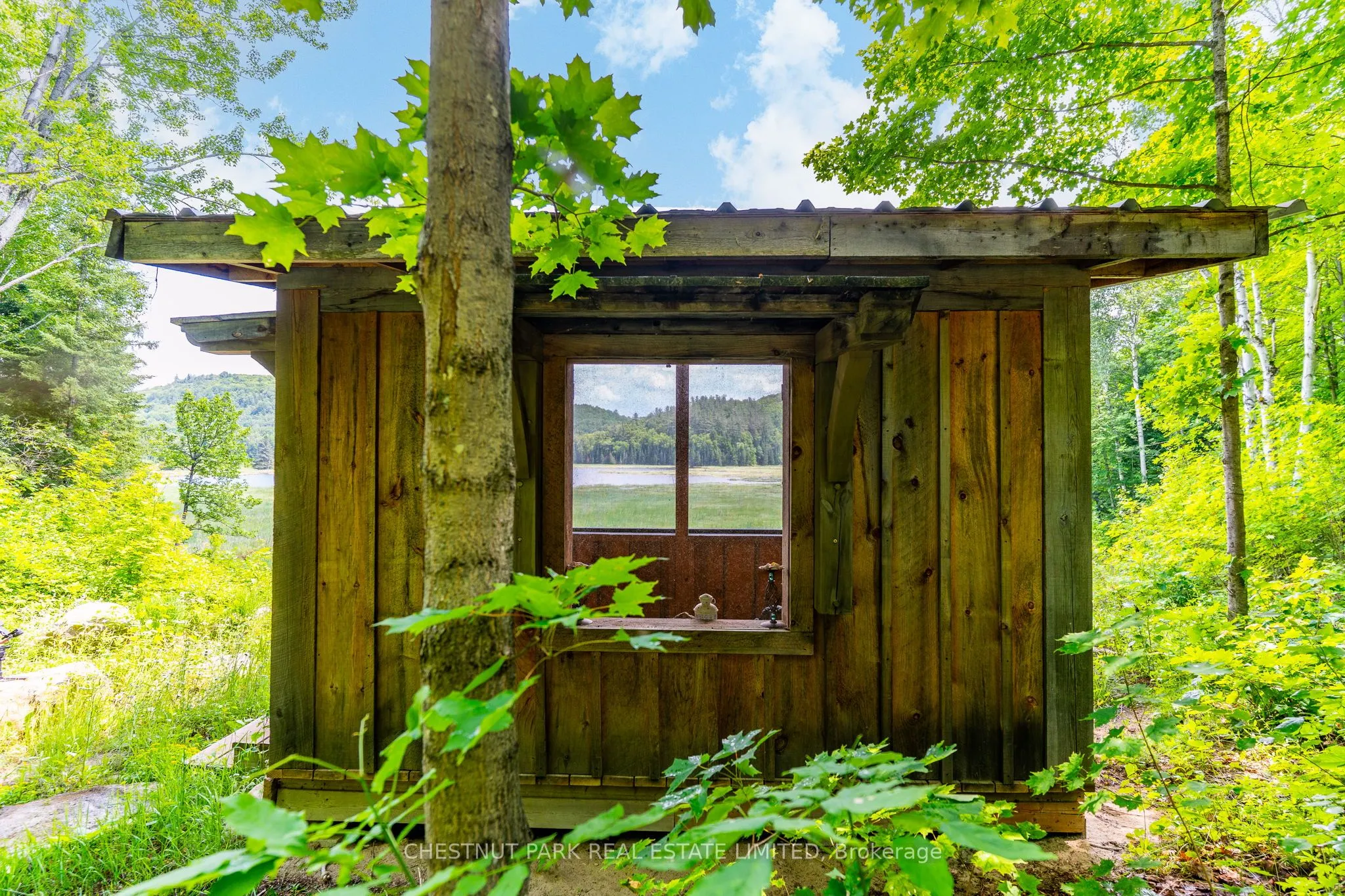 778 Maxwell Settlement Road