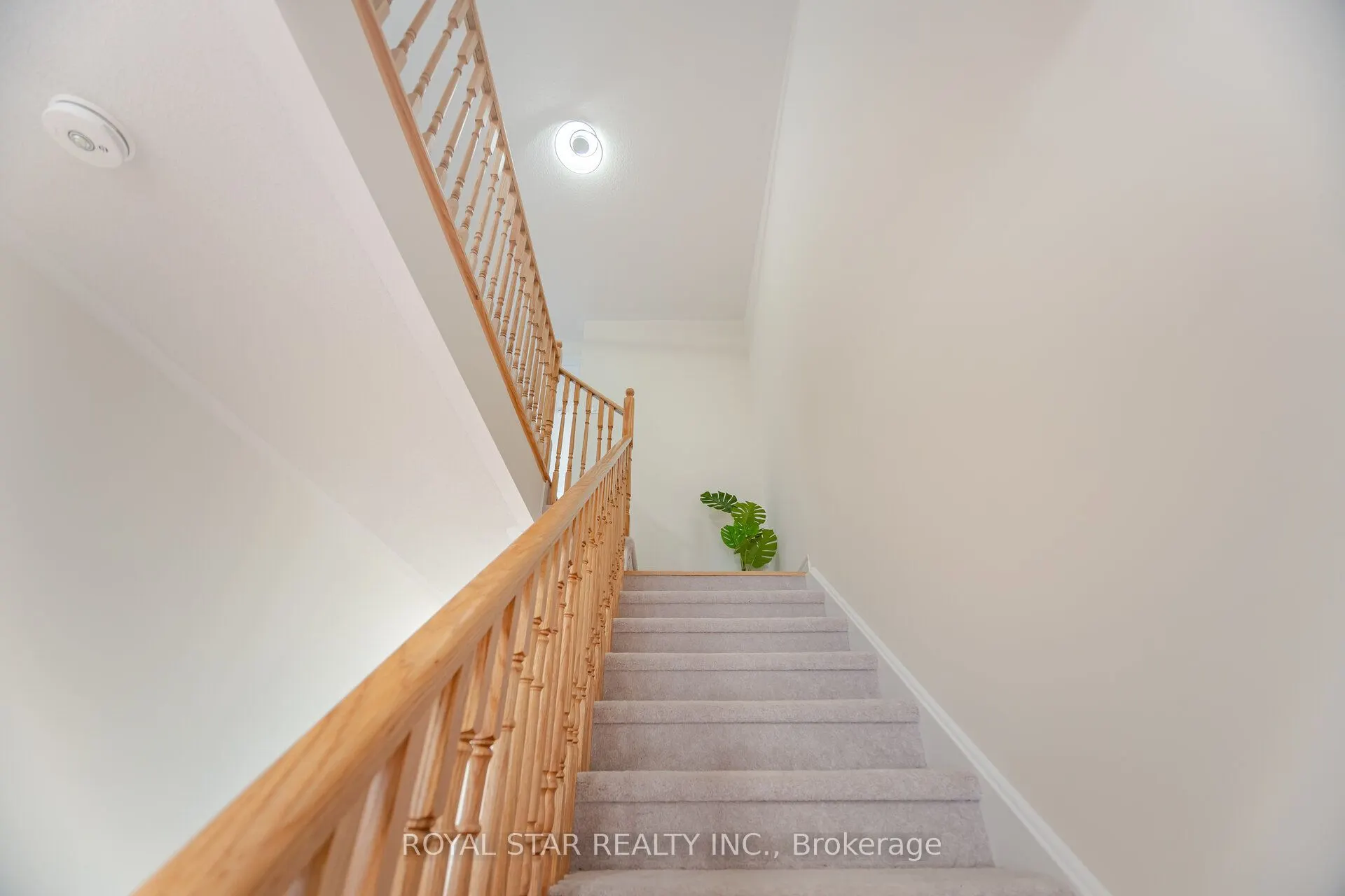 19 Conboy Drive