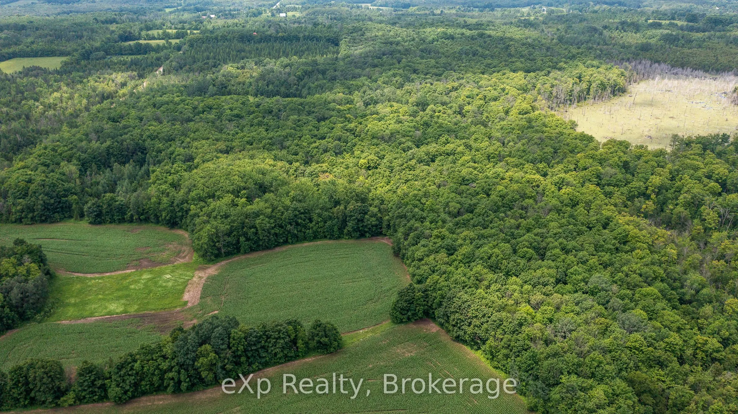 4558803 Concession 3B