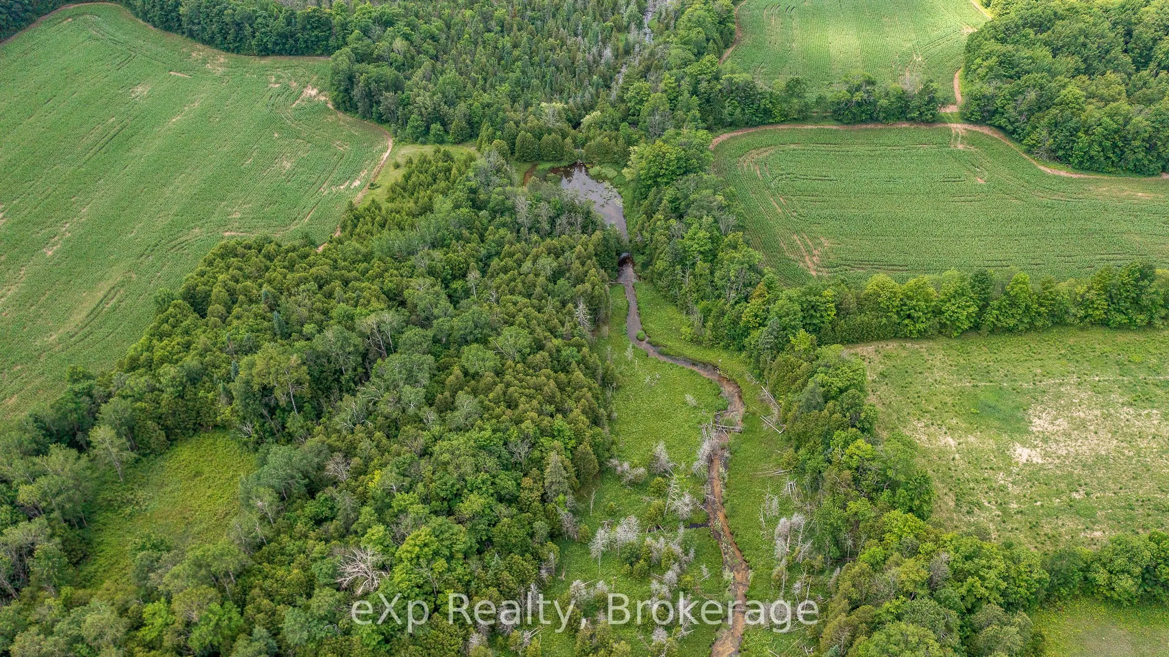 4558803 Concession 3B