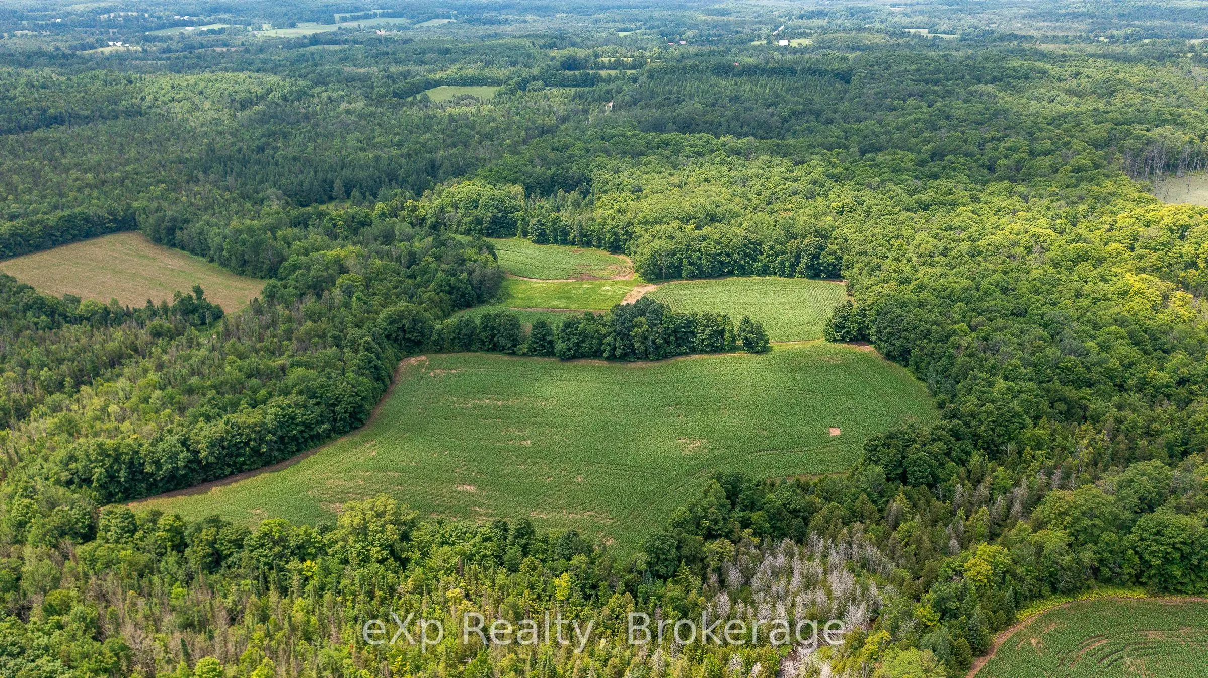 4558803 Concession 3B
