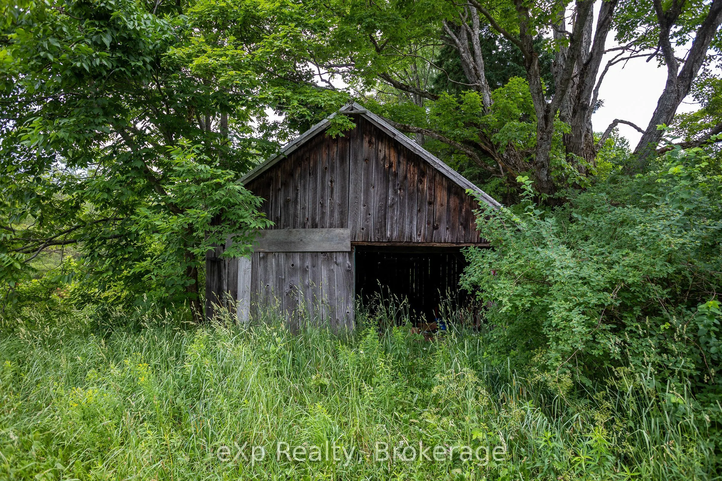 4558803 Concession 3B