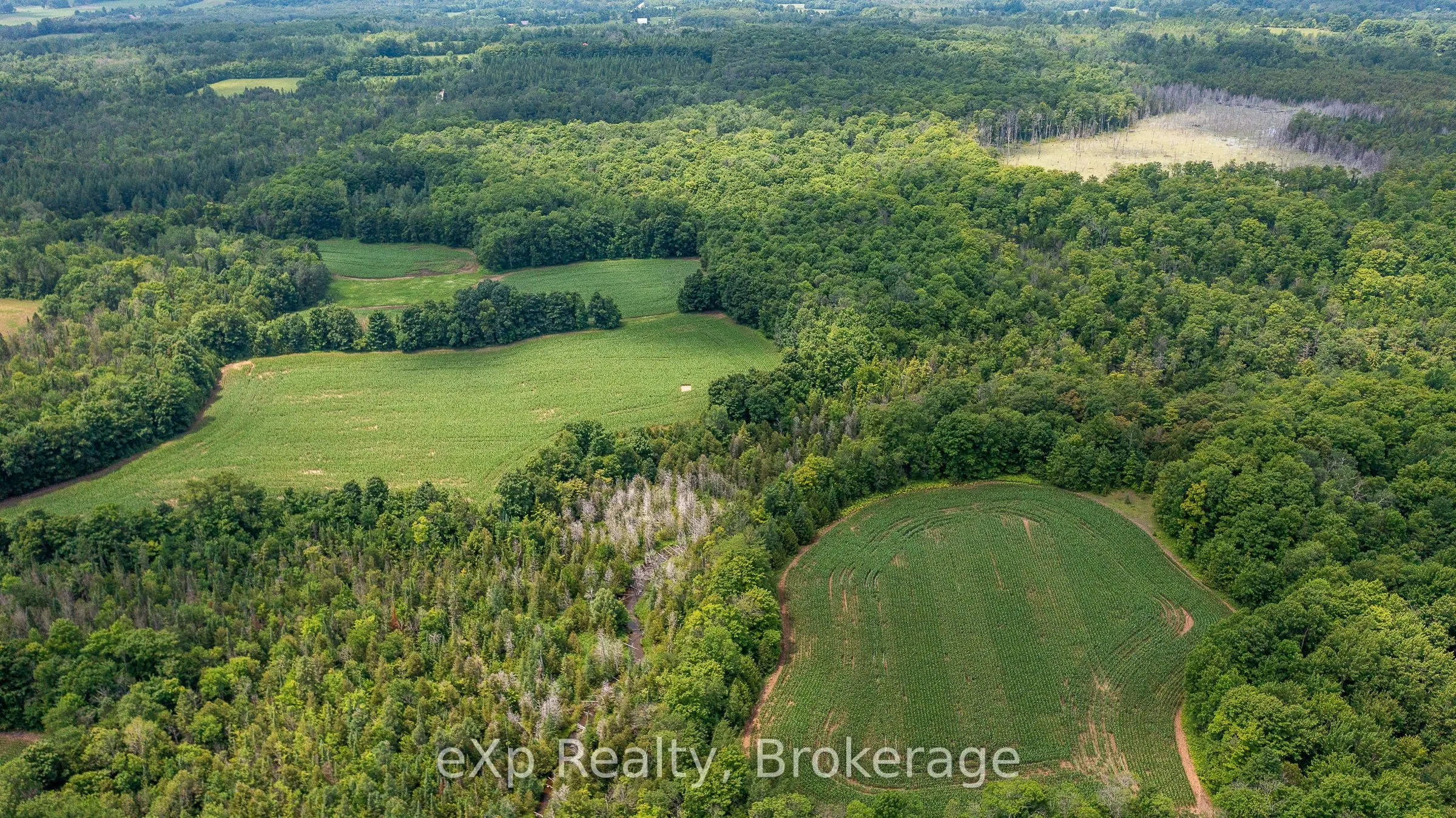 4558803 Concession 3B