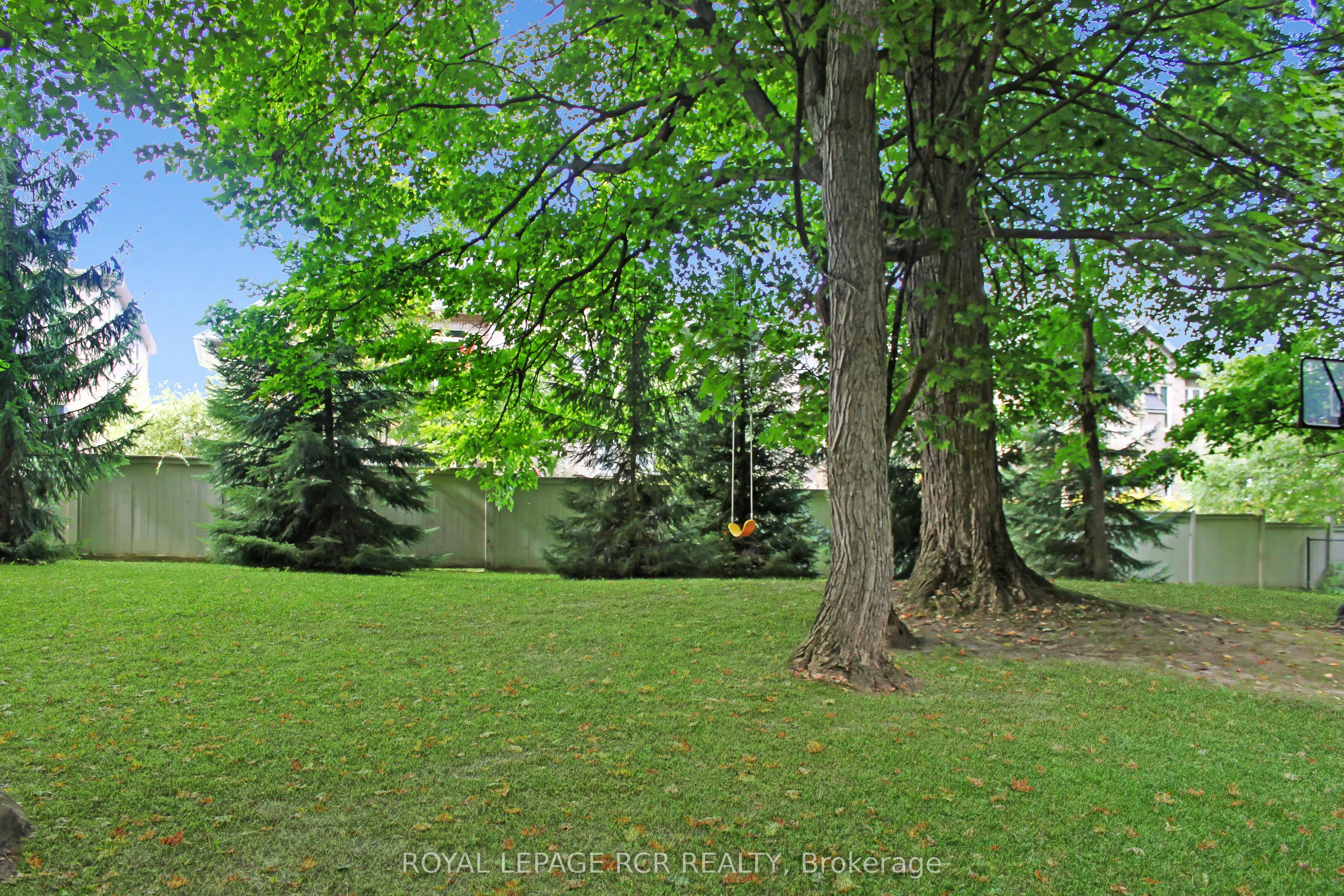 117 Birch Grove
