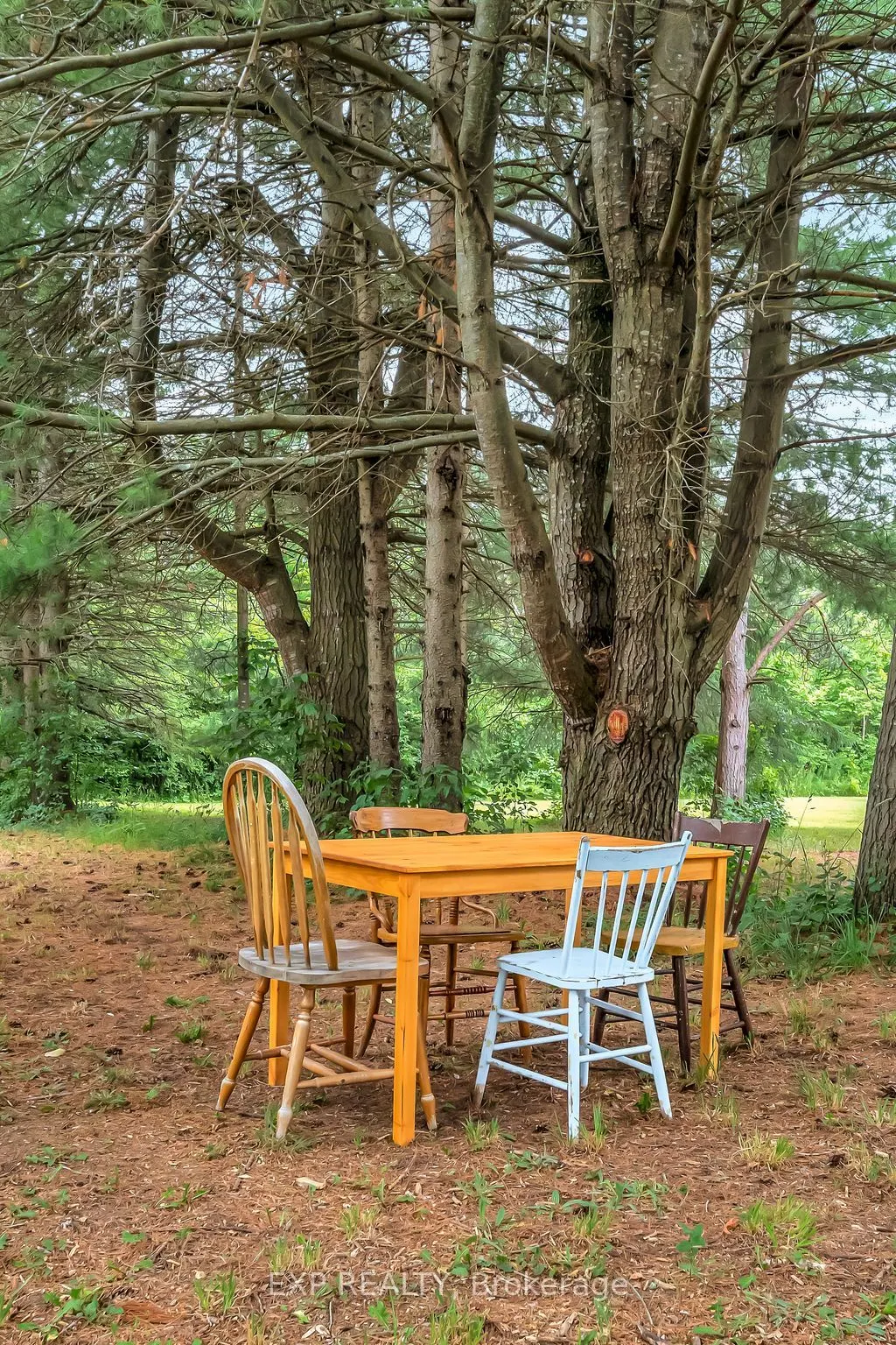 2452 County Rd 4