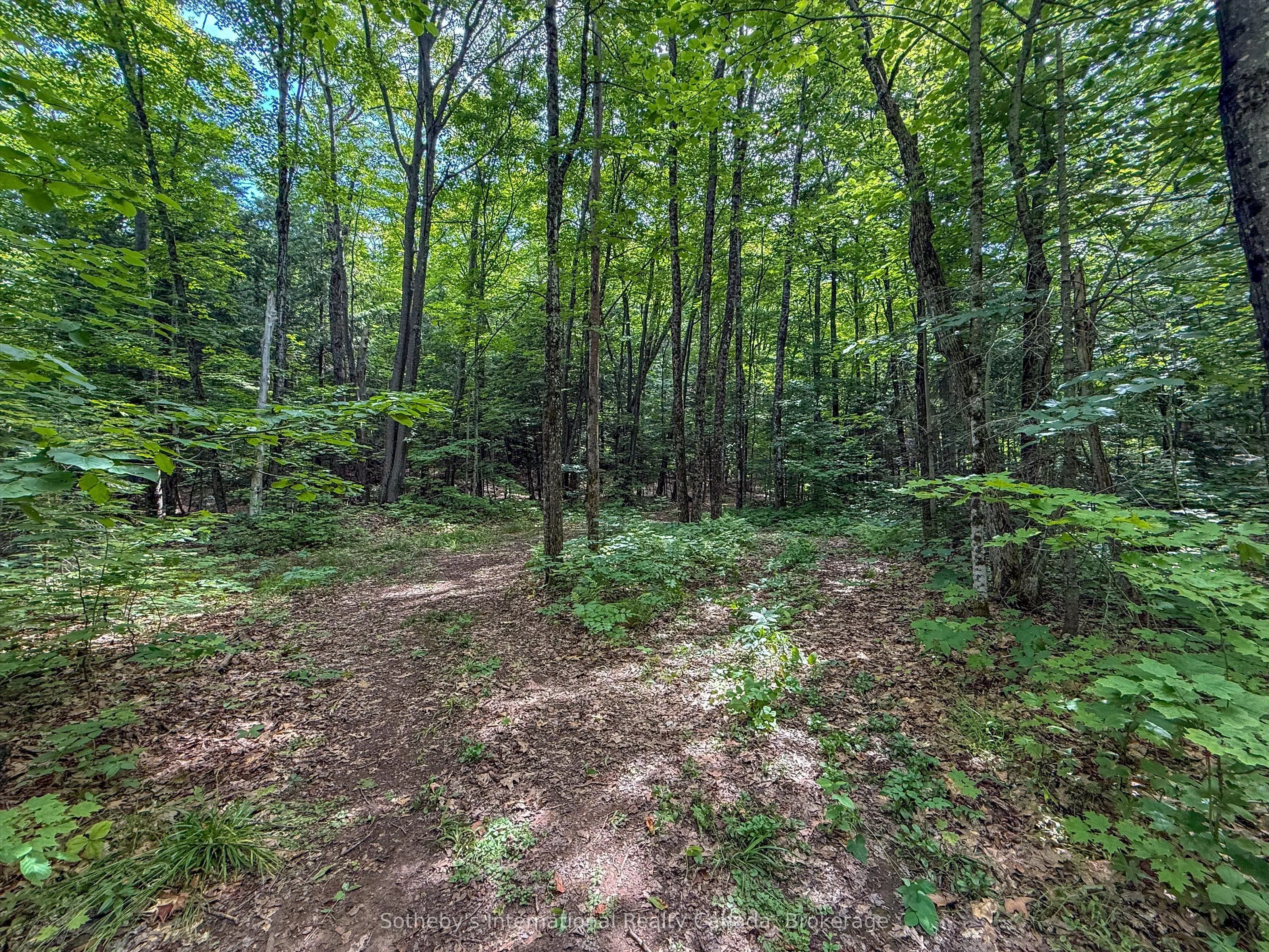 1098 Old Hwy 117