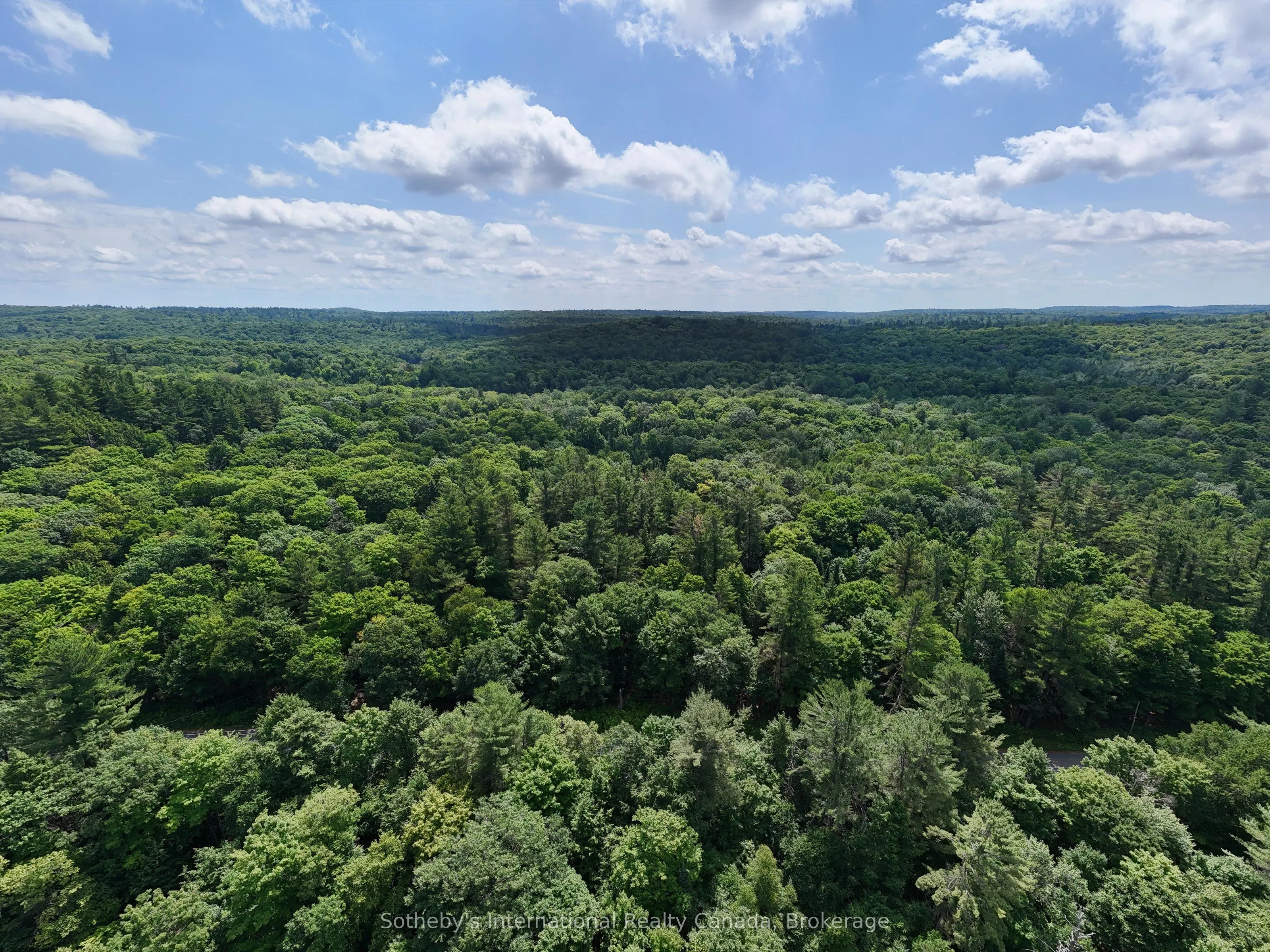 1098 Old Hwy 117
