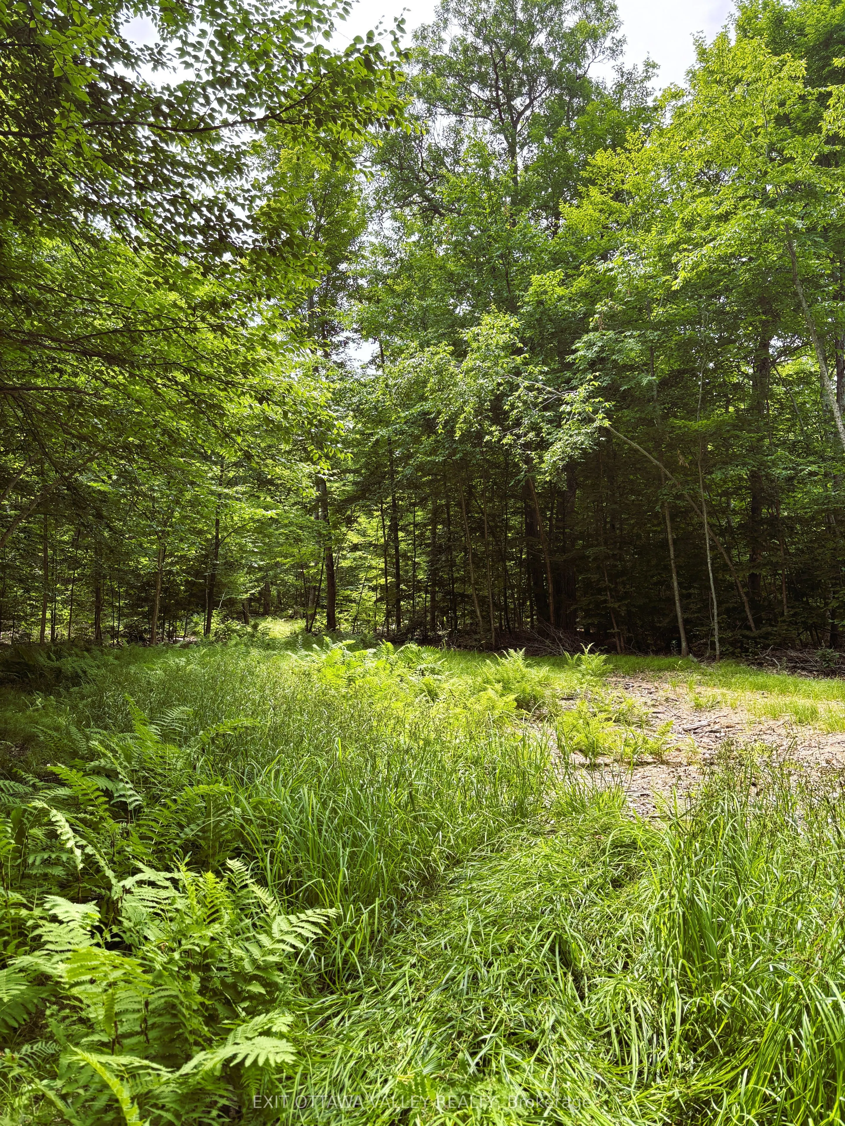 0 Peplinskie Road