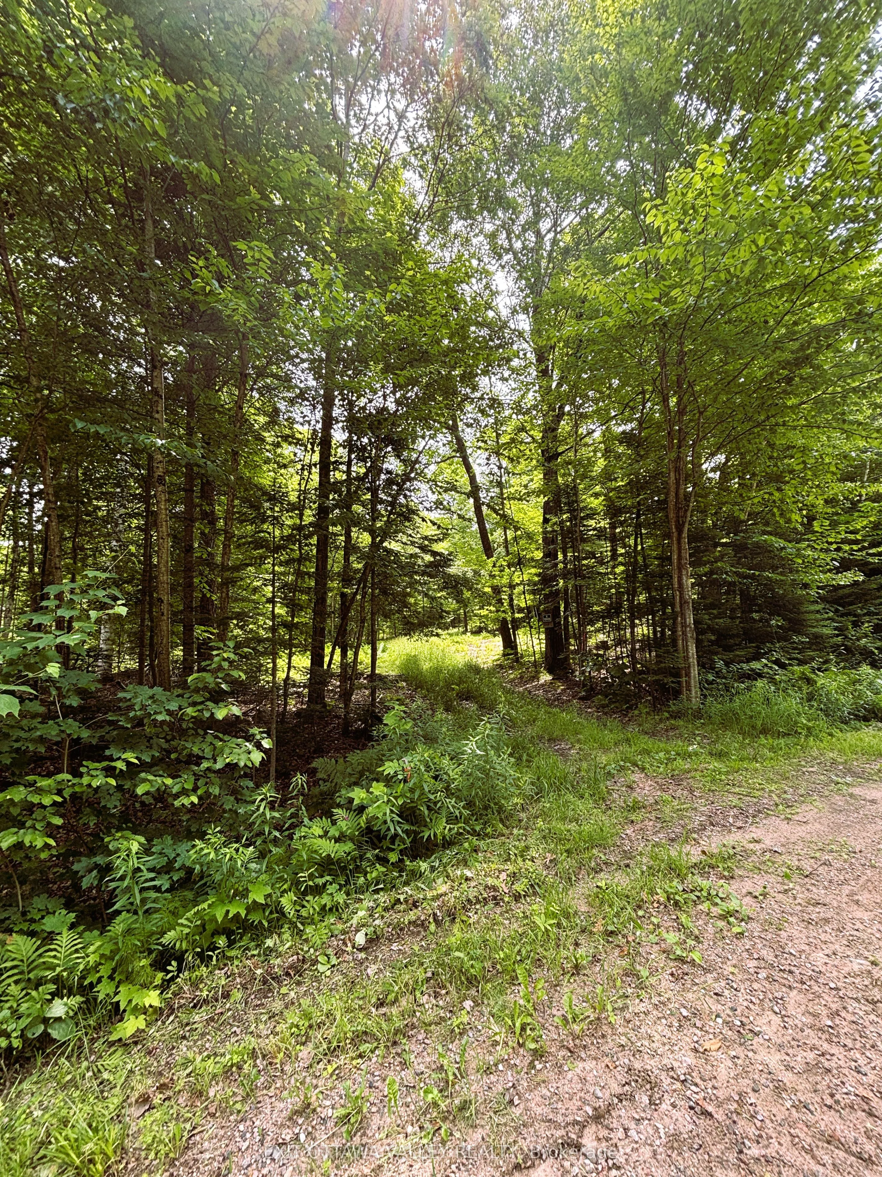0 Peplinskie Road