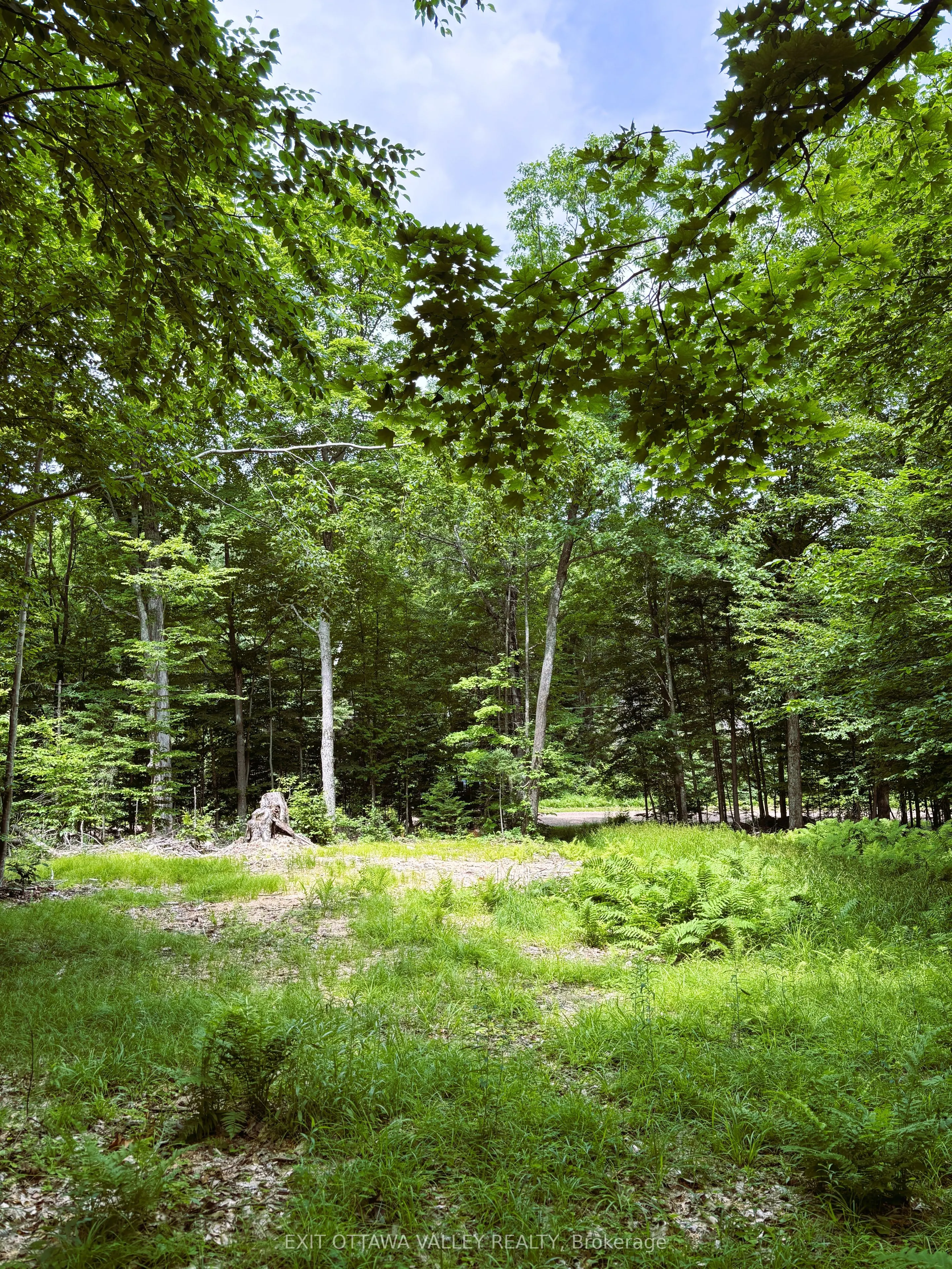 0 Peplinskie Road