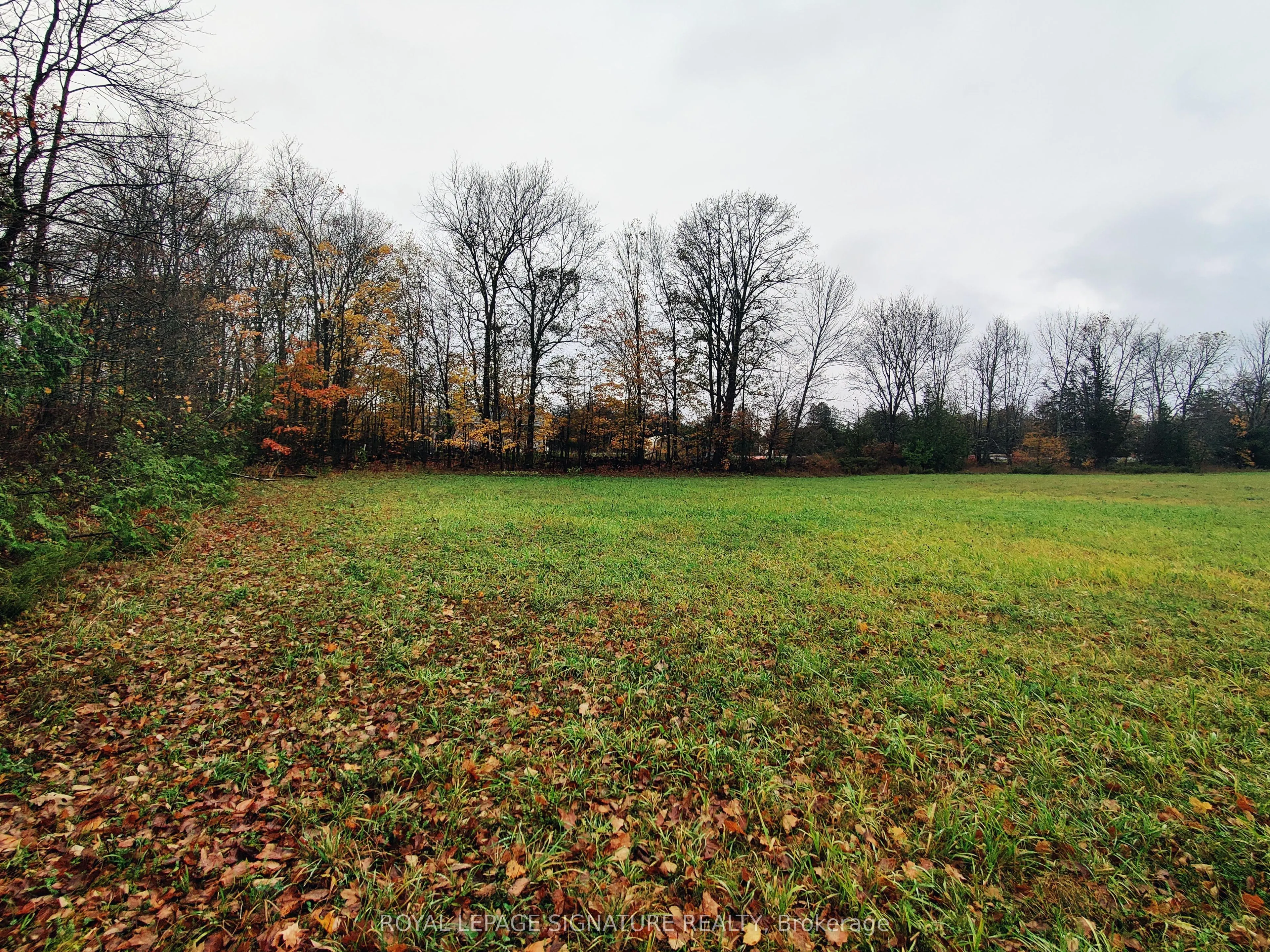 Pine Grove Road