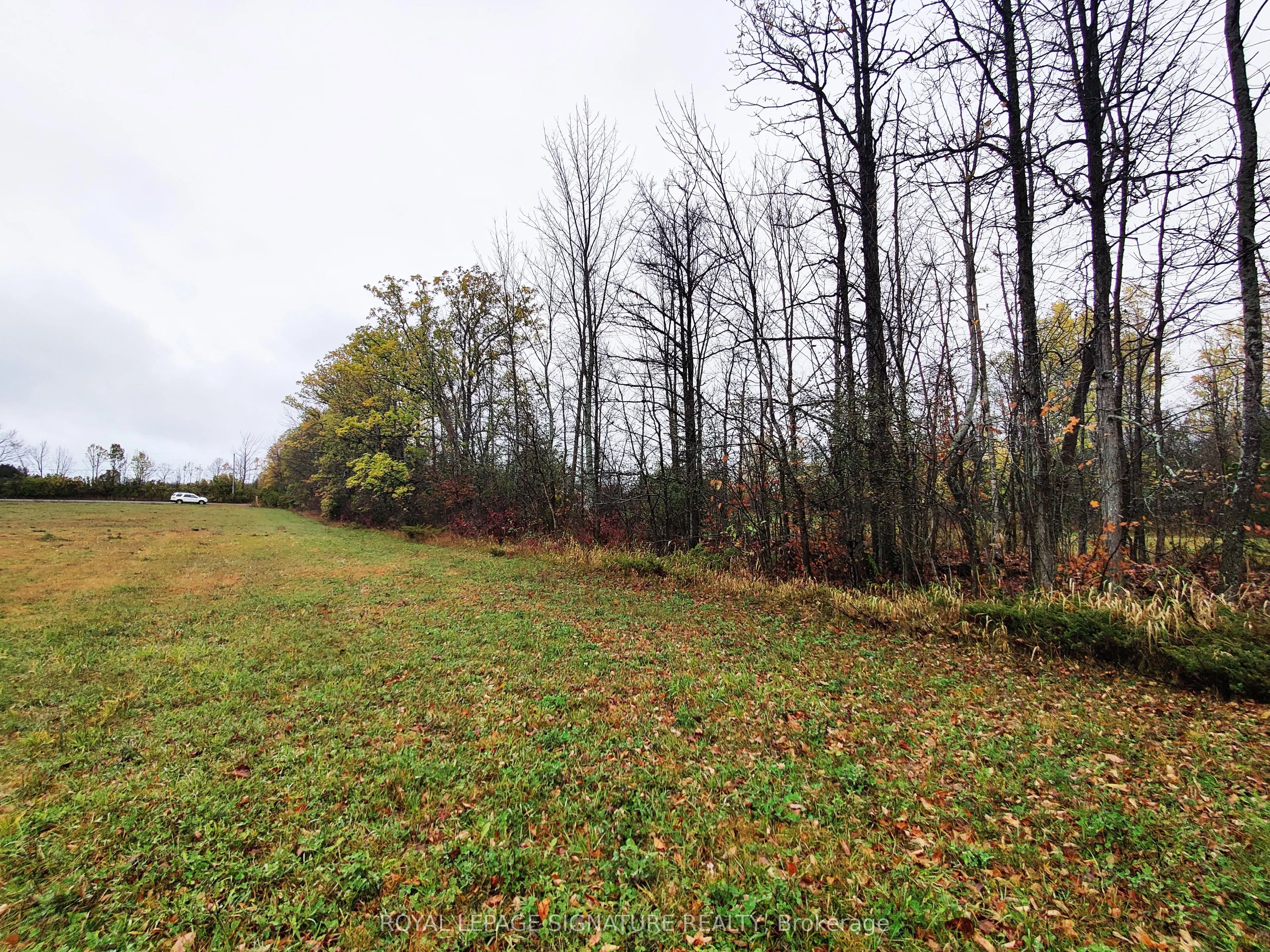 Pine Grove Road