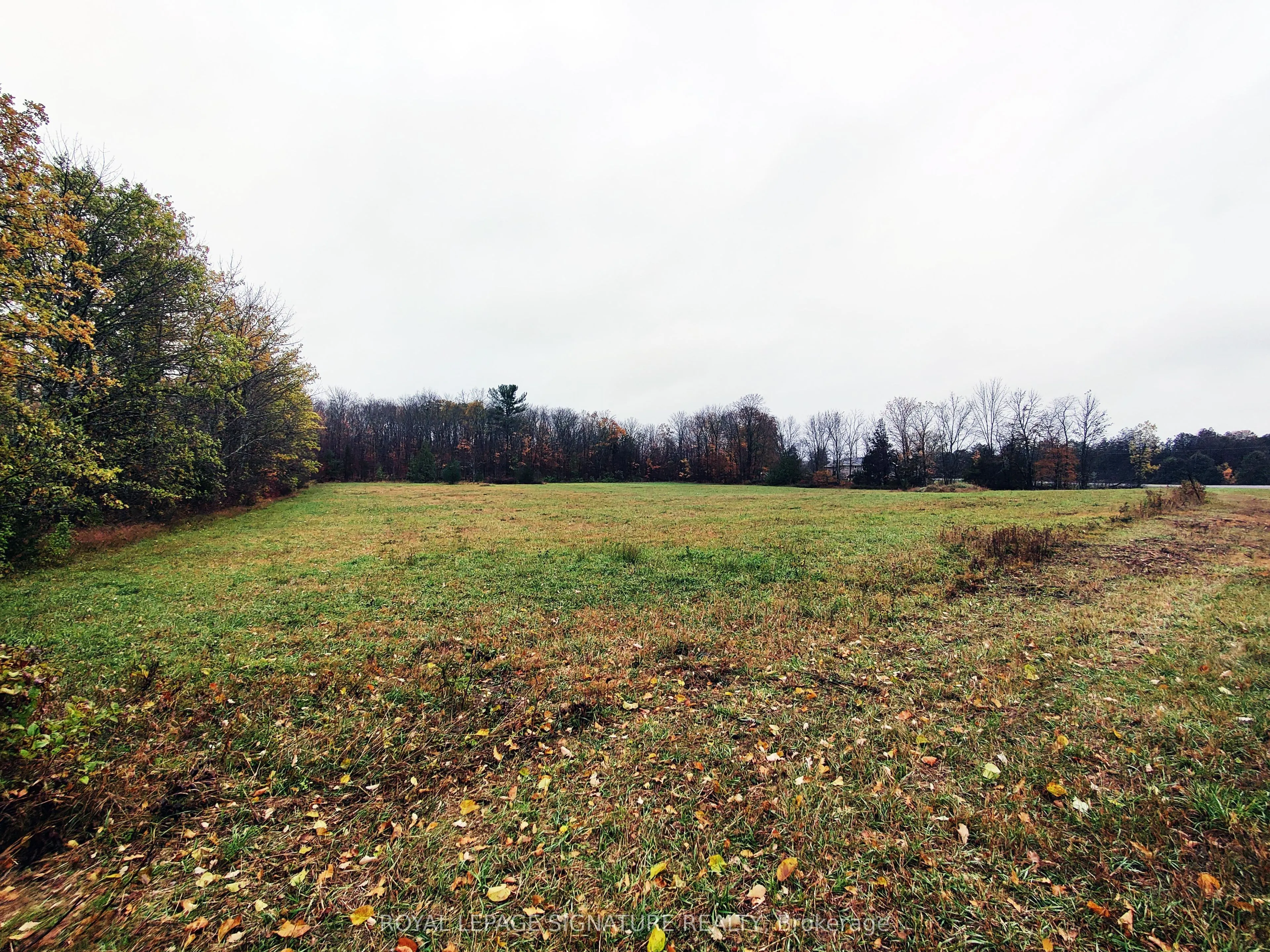 Pine Grove Road