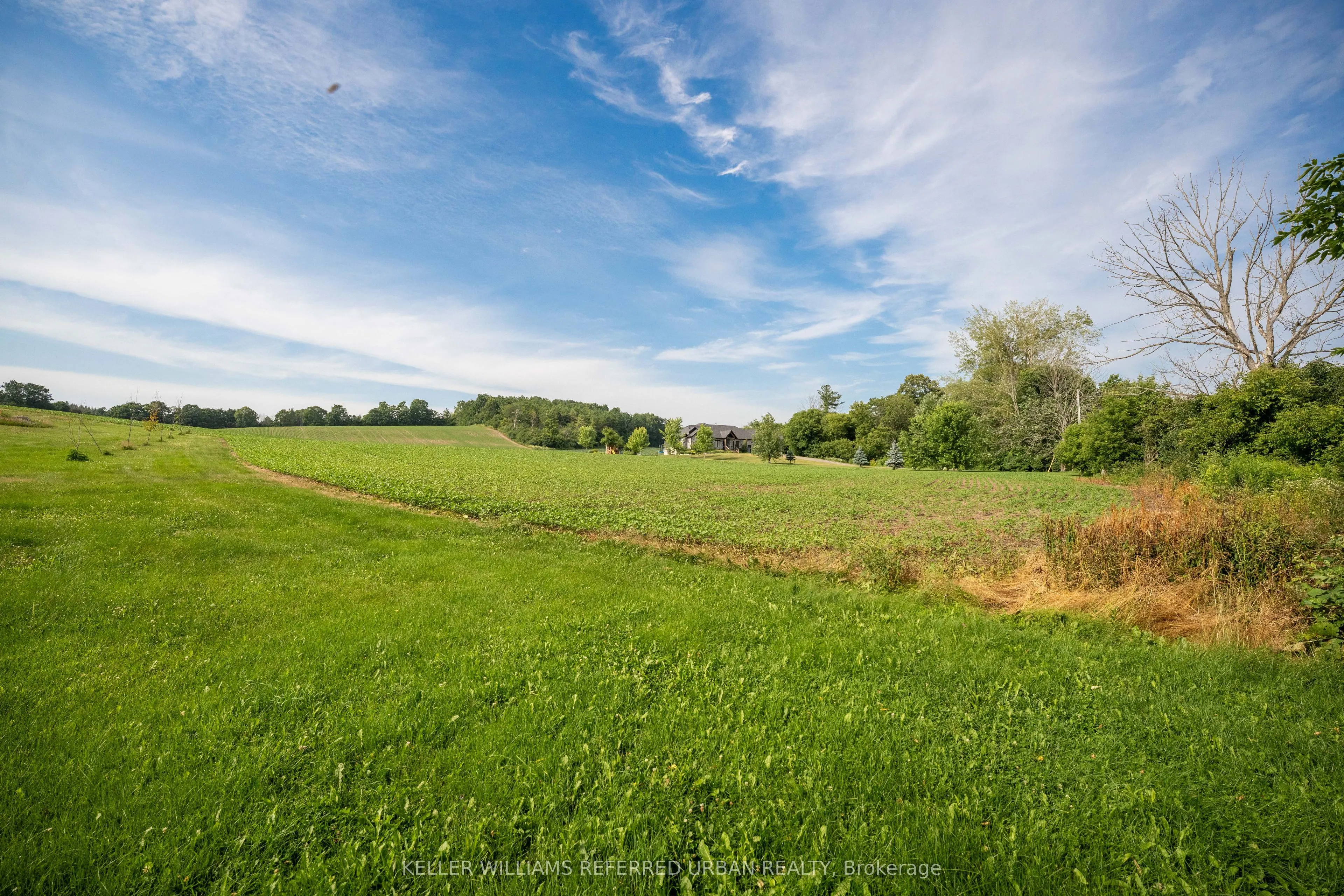 00 Smylie Road