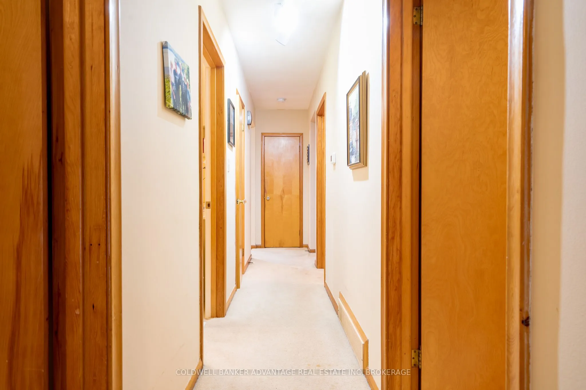 17 Wardrope Avenue