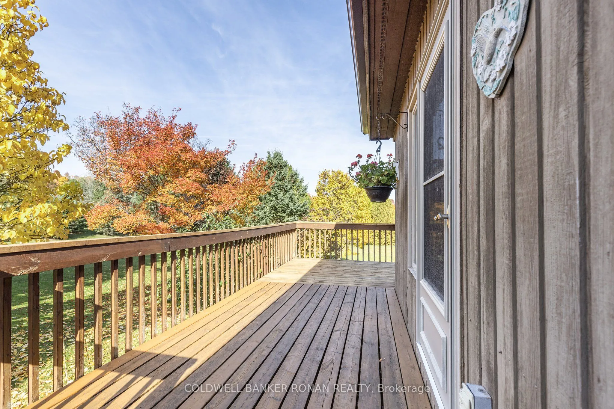 20 Mountainview Road